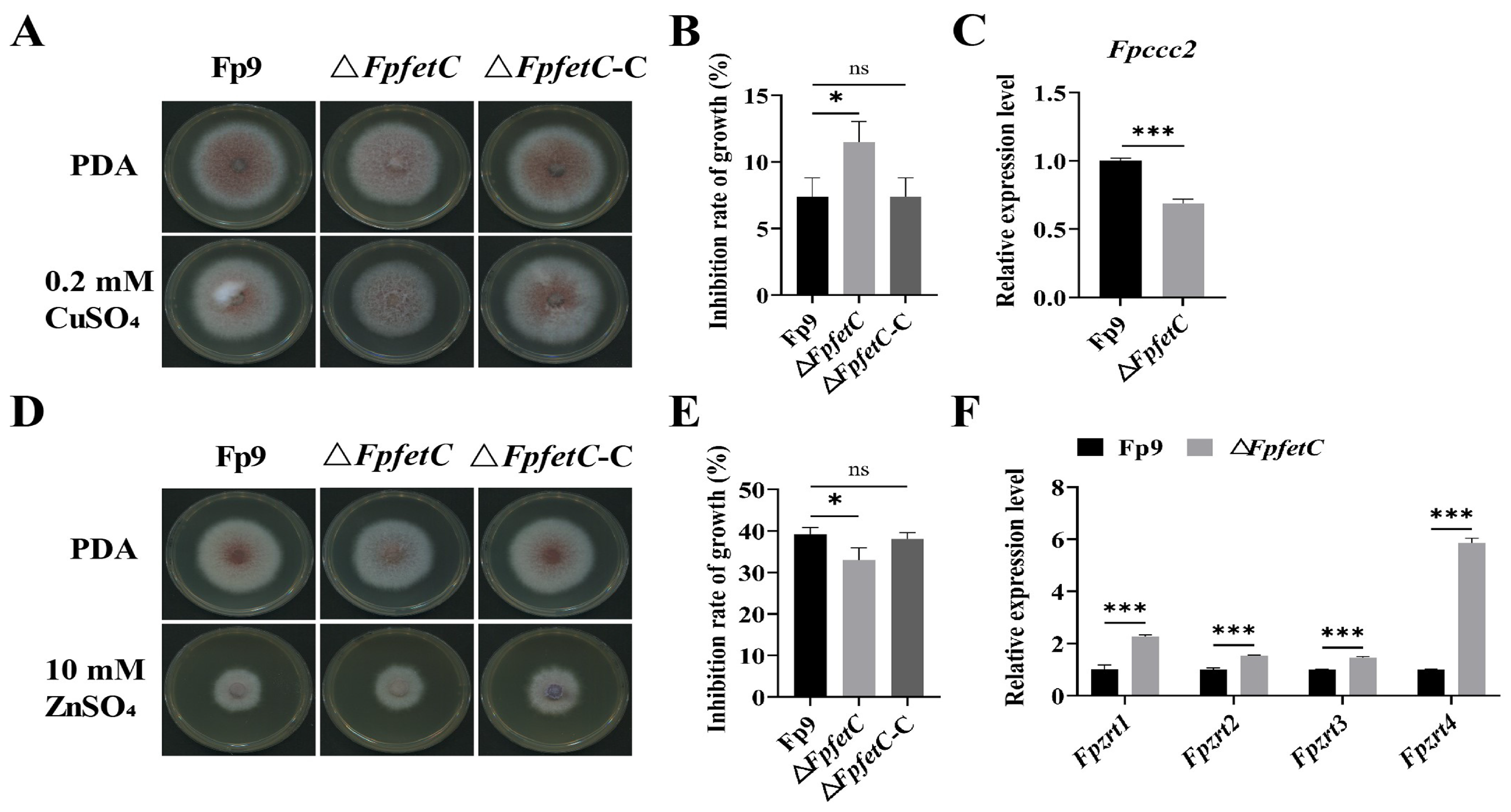 Ijms 26 02883 g005 Ijms 26 02883 g005