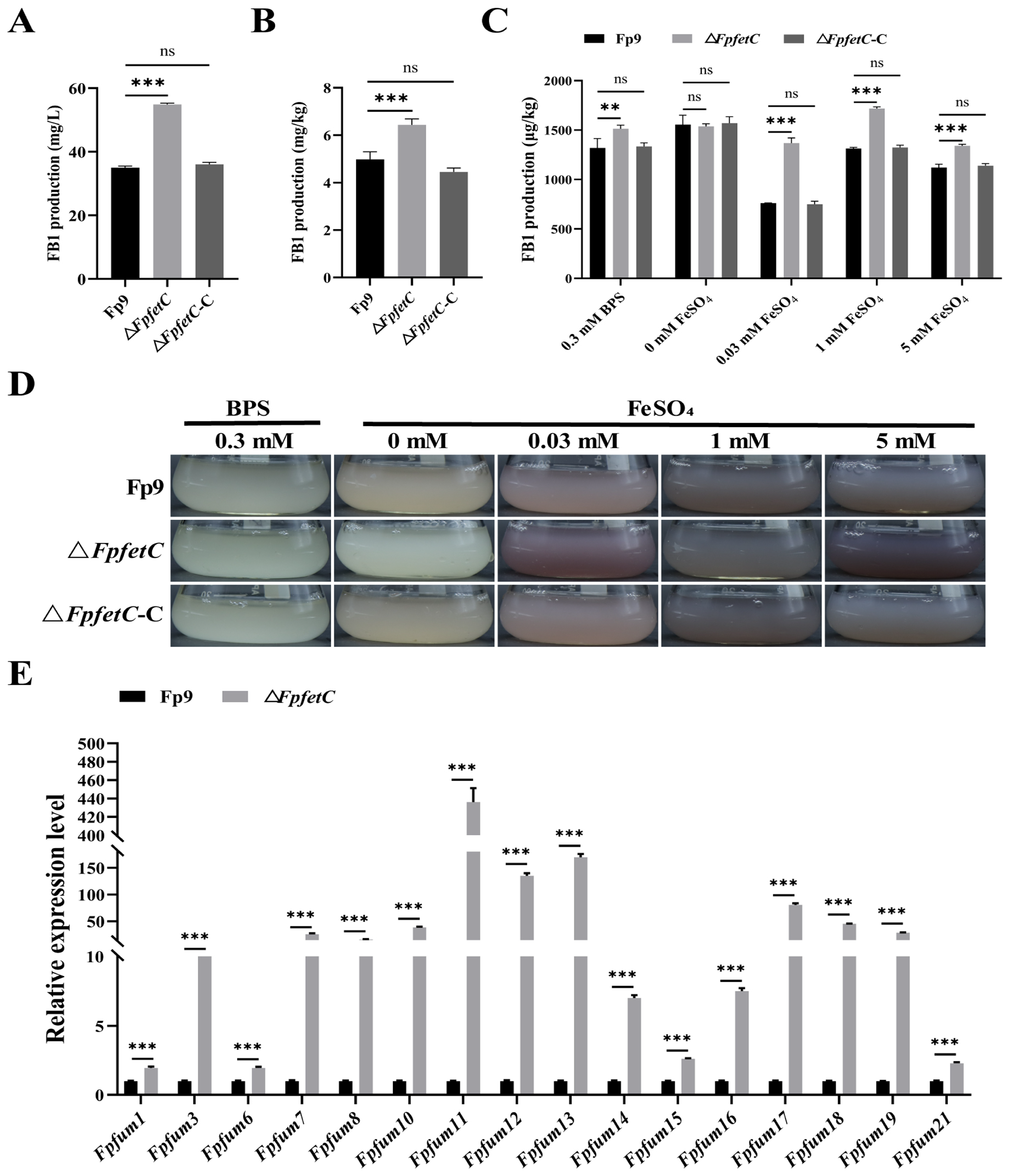 Ijms 26 02883 g006 Ijms 26 02883 g006