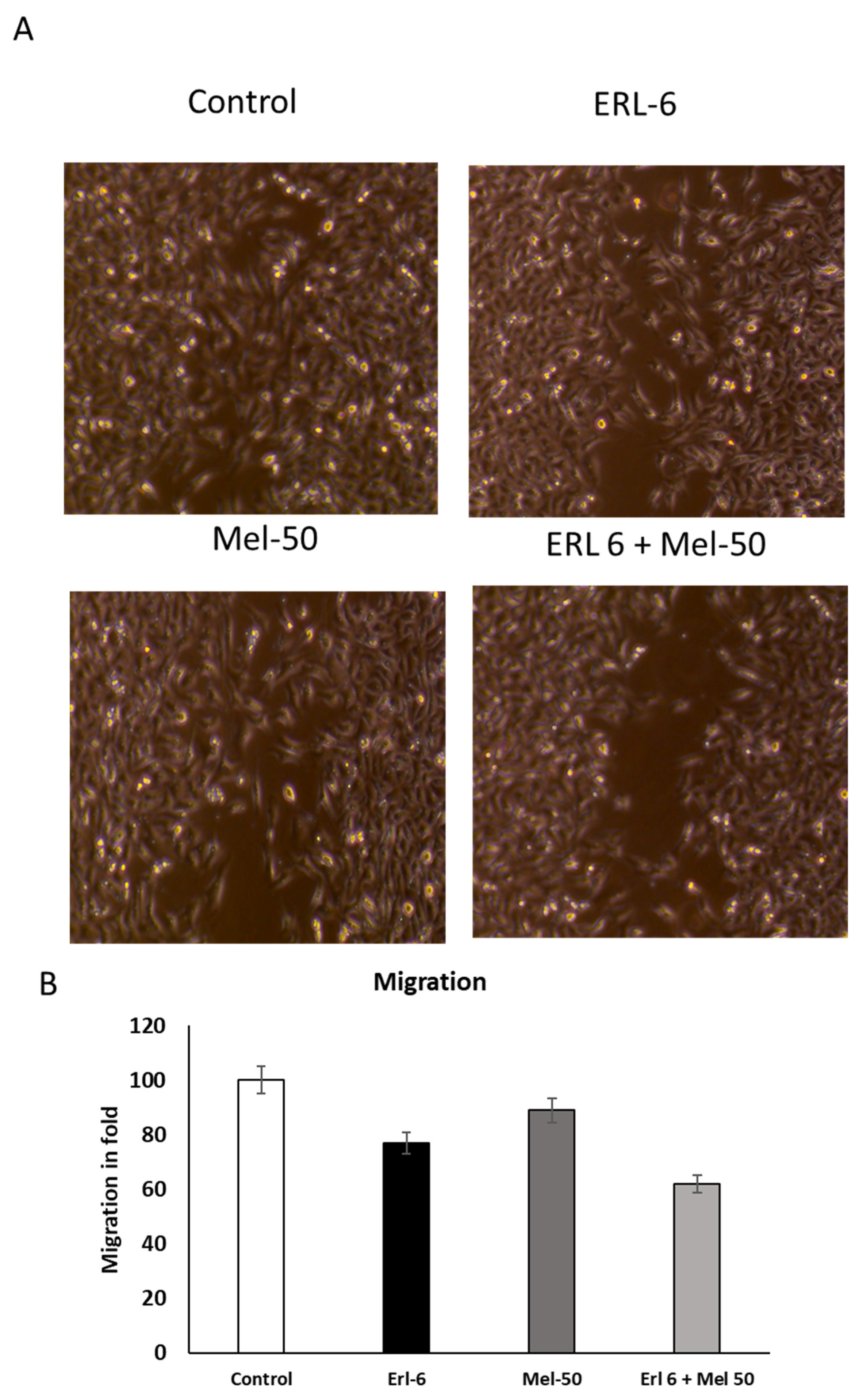 Ijms 26 02903 g002