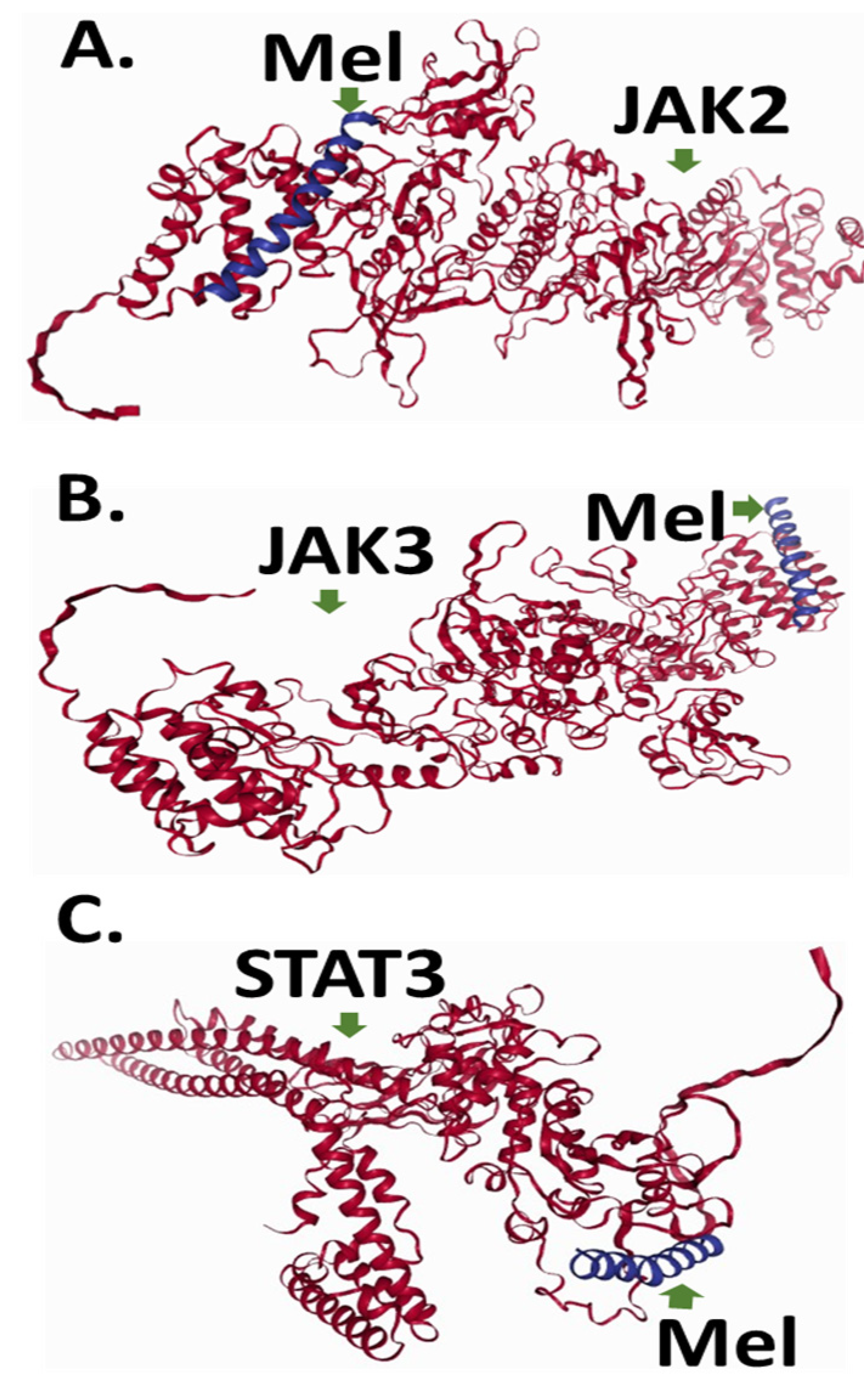 Ijms 26 02903 g006