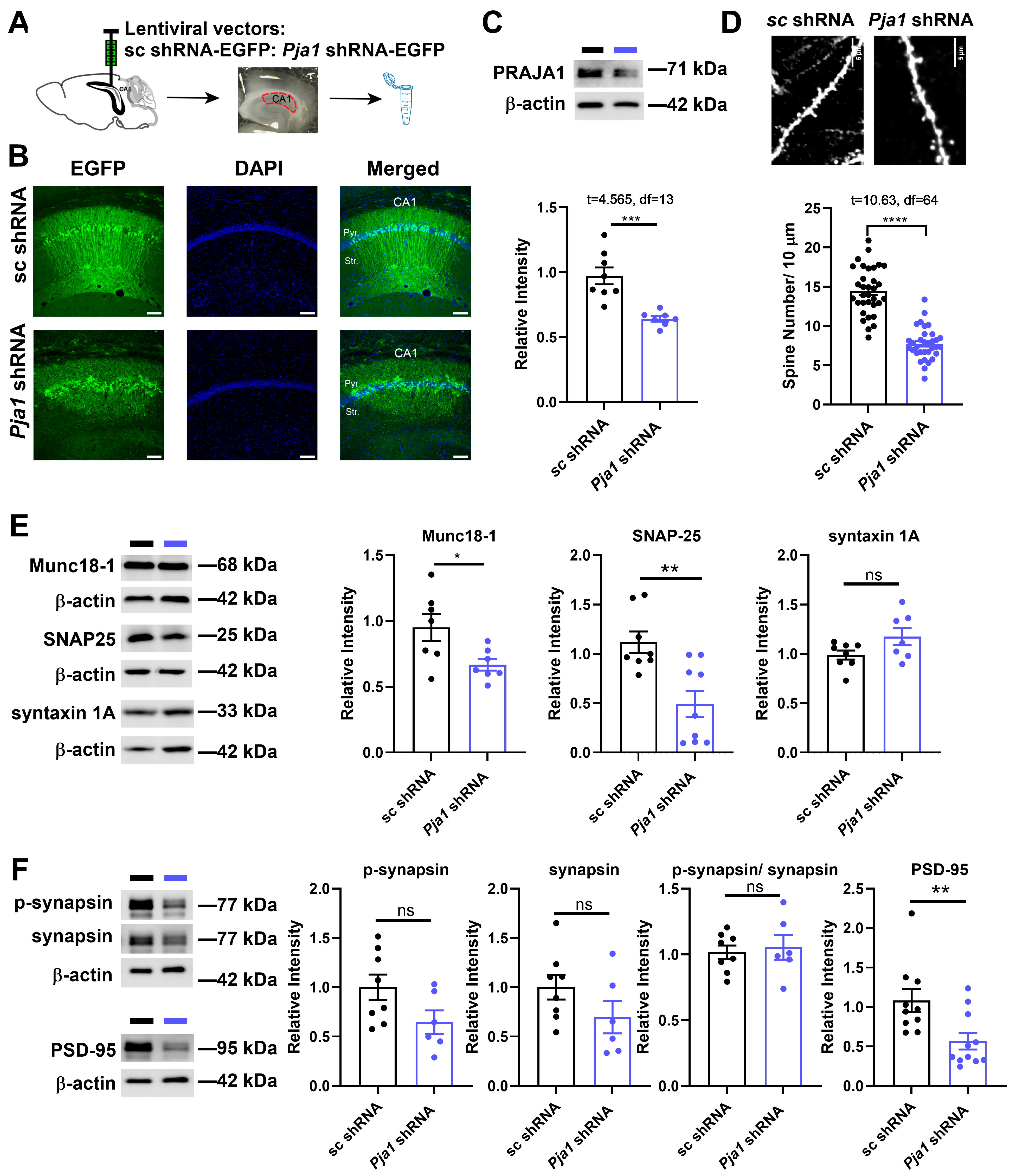 Ijms 26 02909 g002 Ijms 26 02909 g002