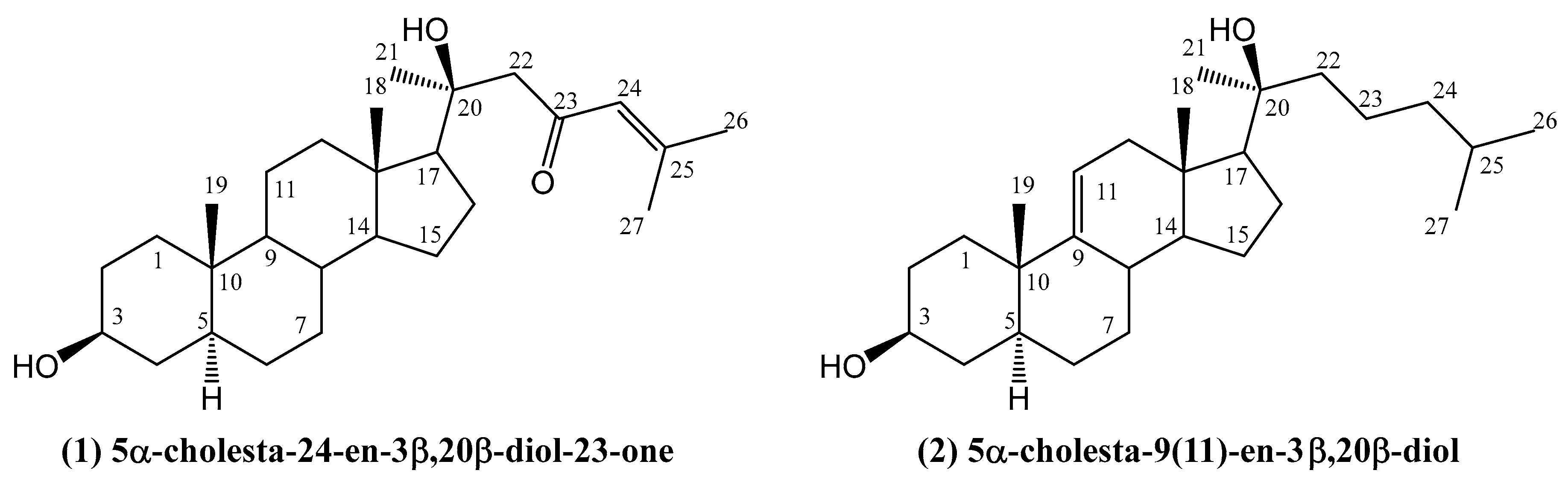Ijms 26 03203 g001 Ijms 26 03203 g001
