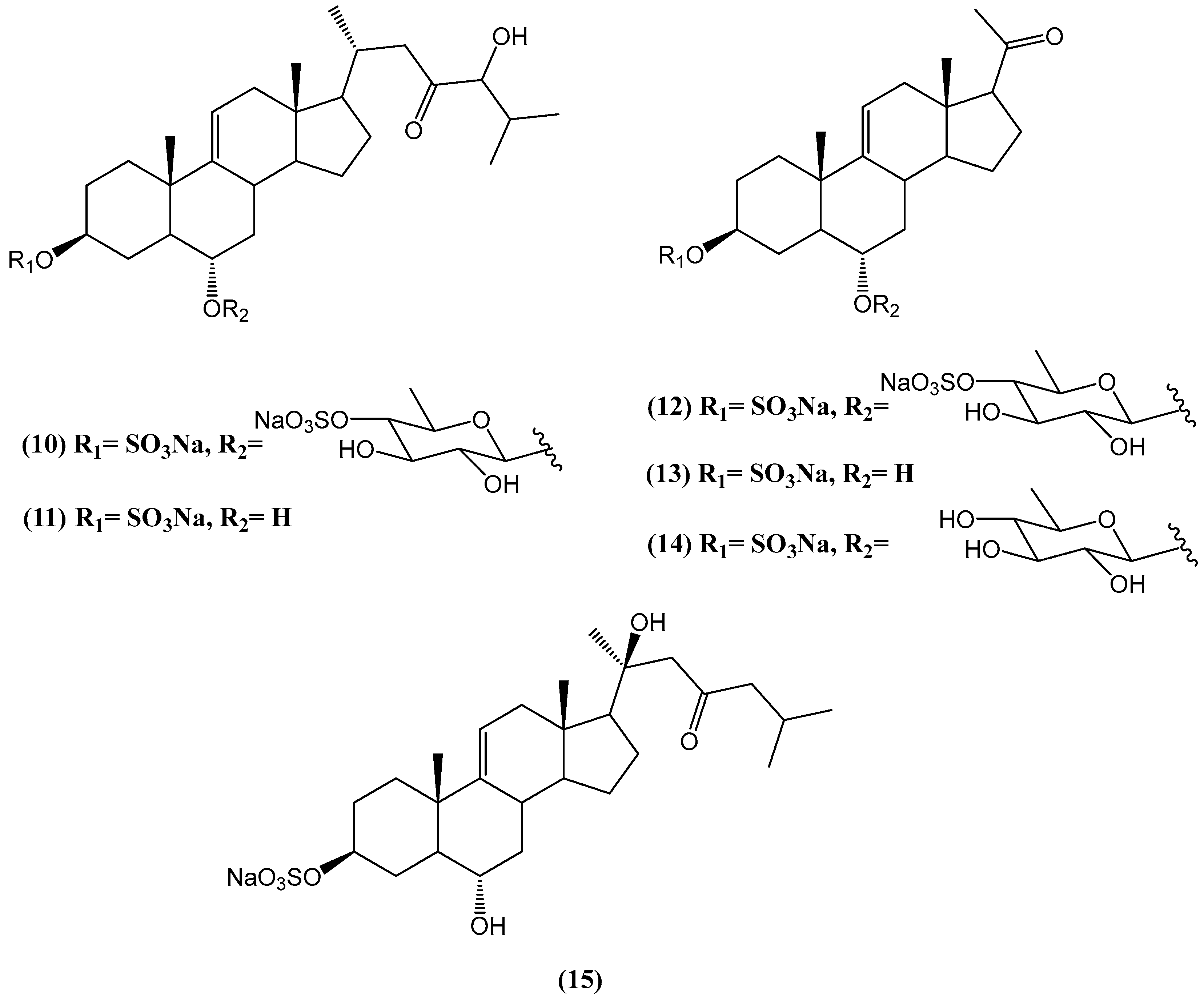 Ijms 26 03203 g007 Ijms 26 03203 g007