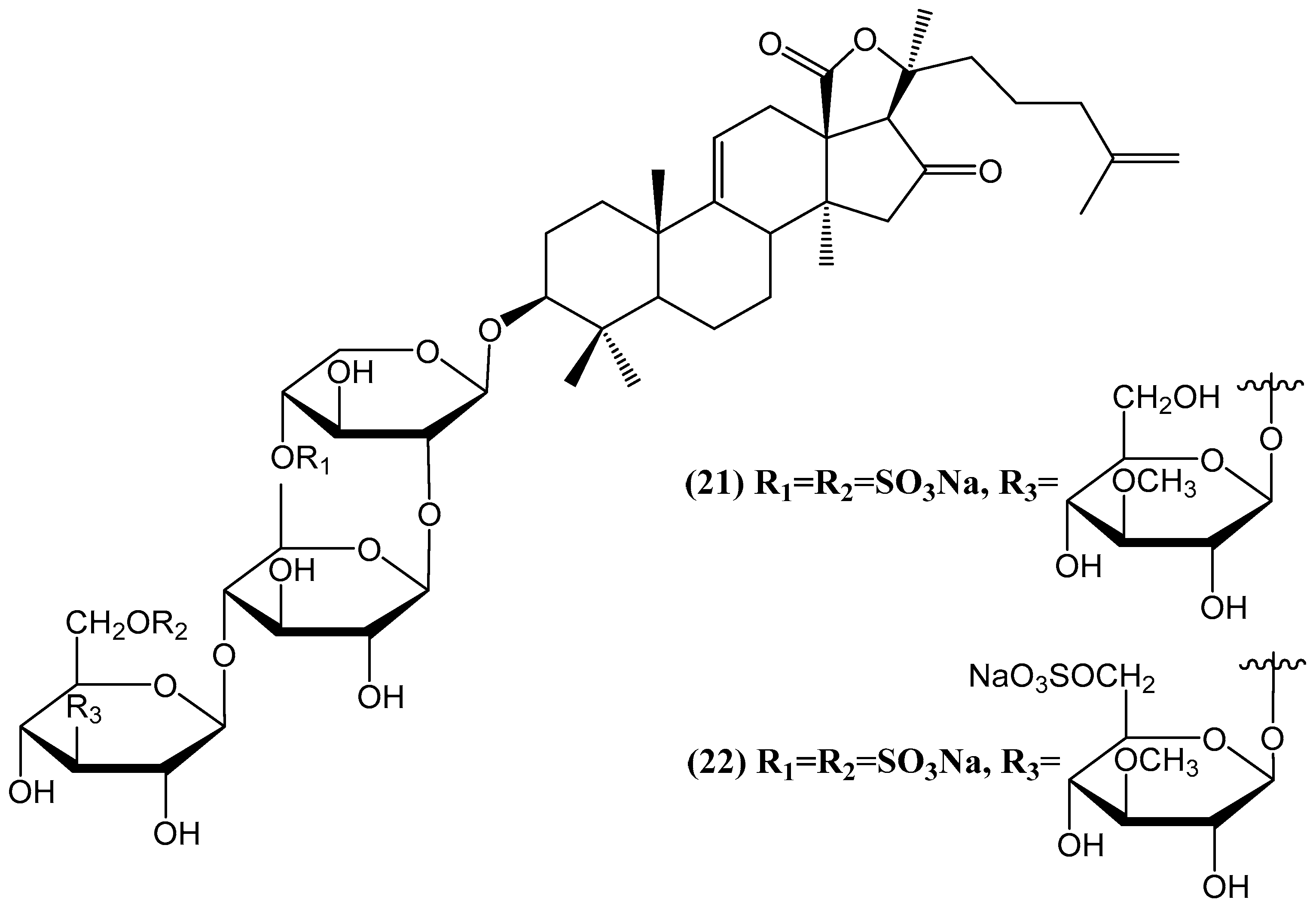 Ijms 26 03203 g009 Ijms 26 03203 g009