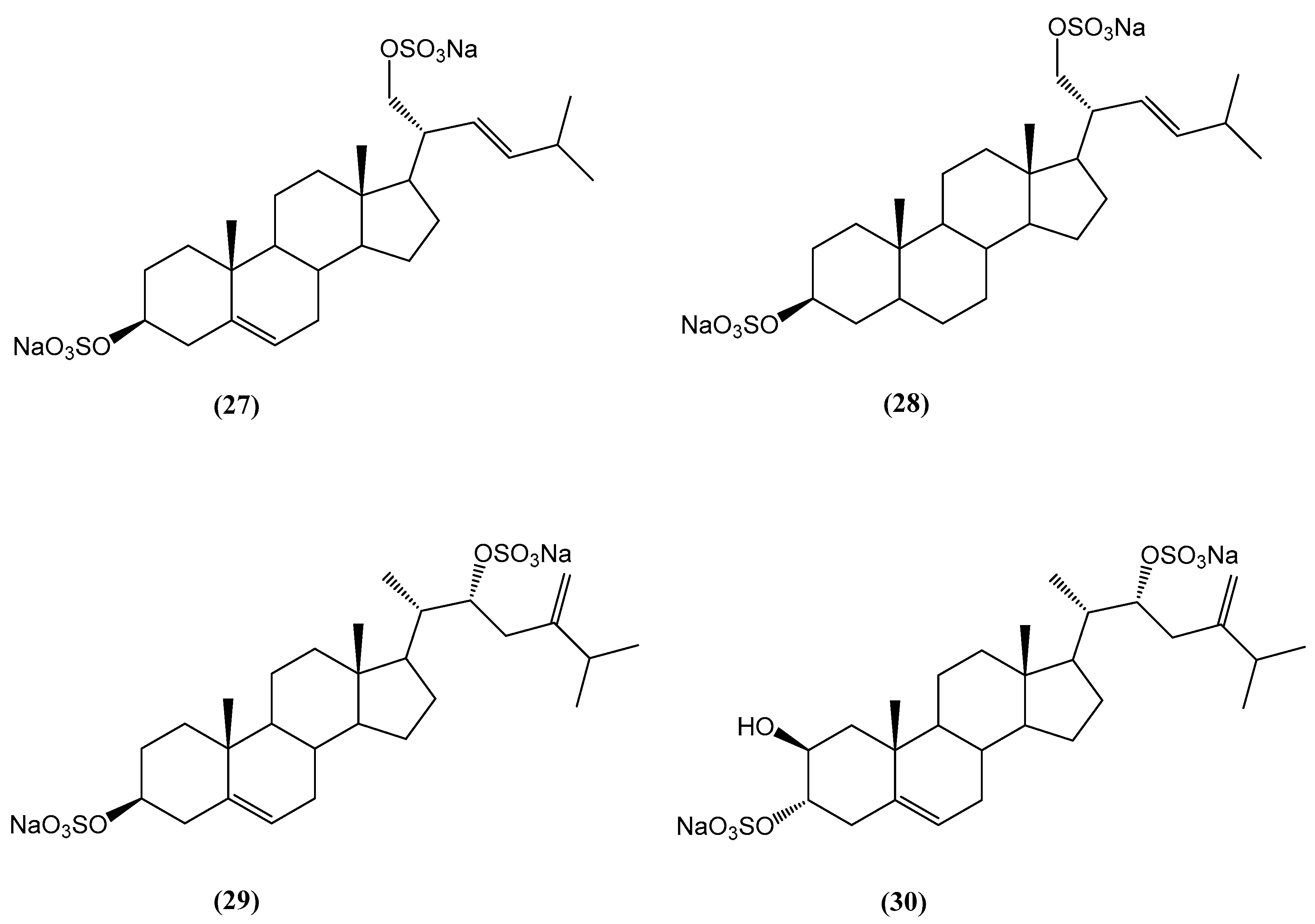 Ijms 26 03203 g011 Ijms 26 03203 g011