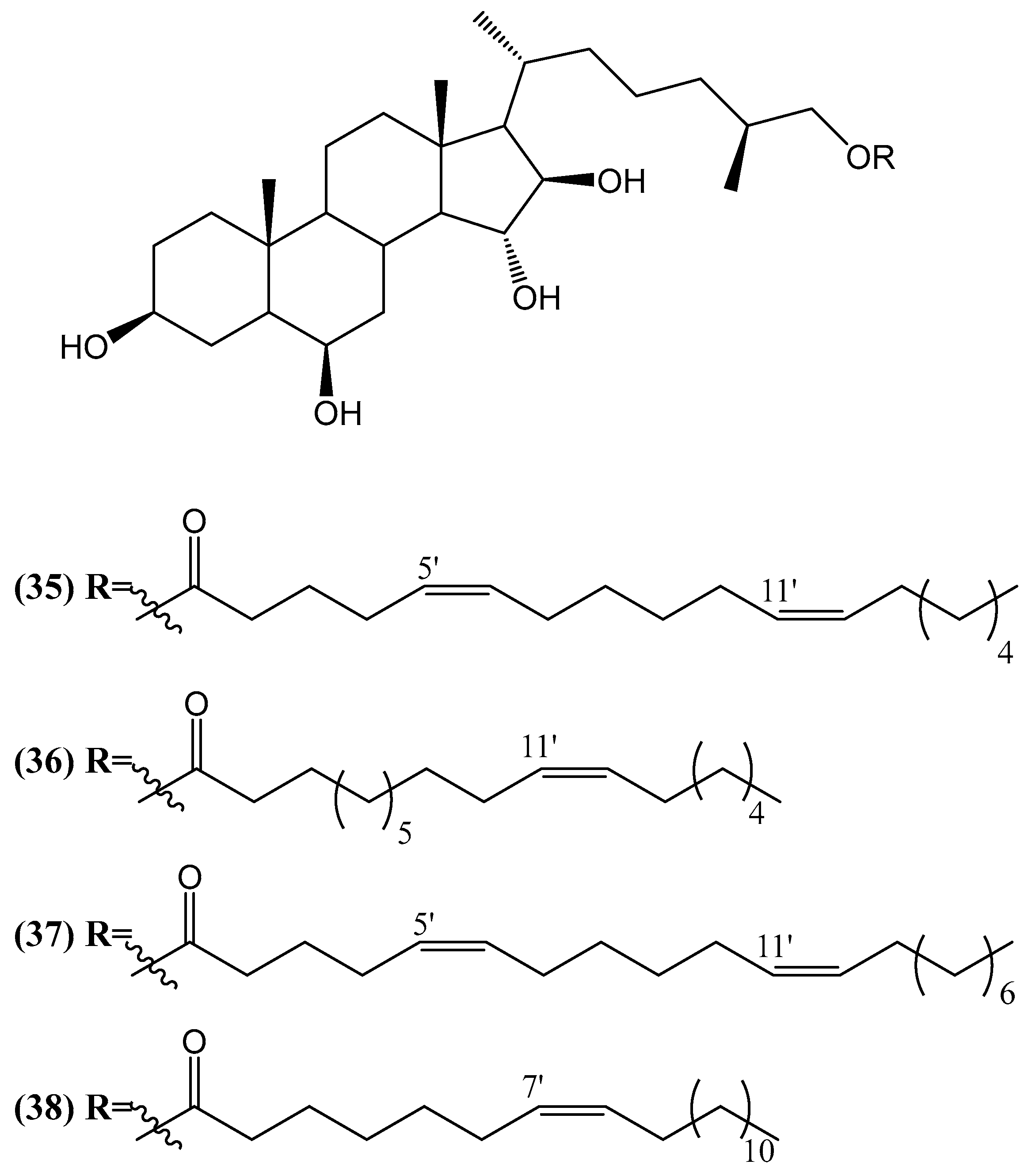 Ijms 26 03203 g013 Ijms 26 03203 g013