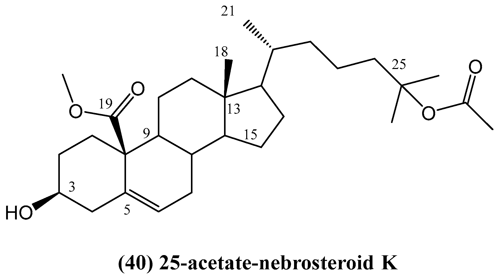 Ijms 26 03203 g015 Ijms 26 03203 g015