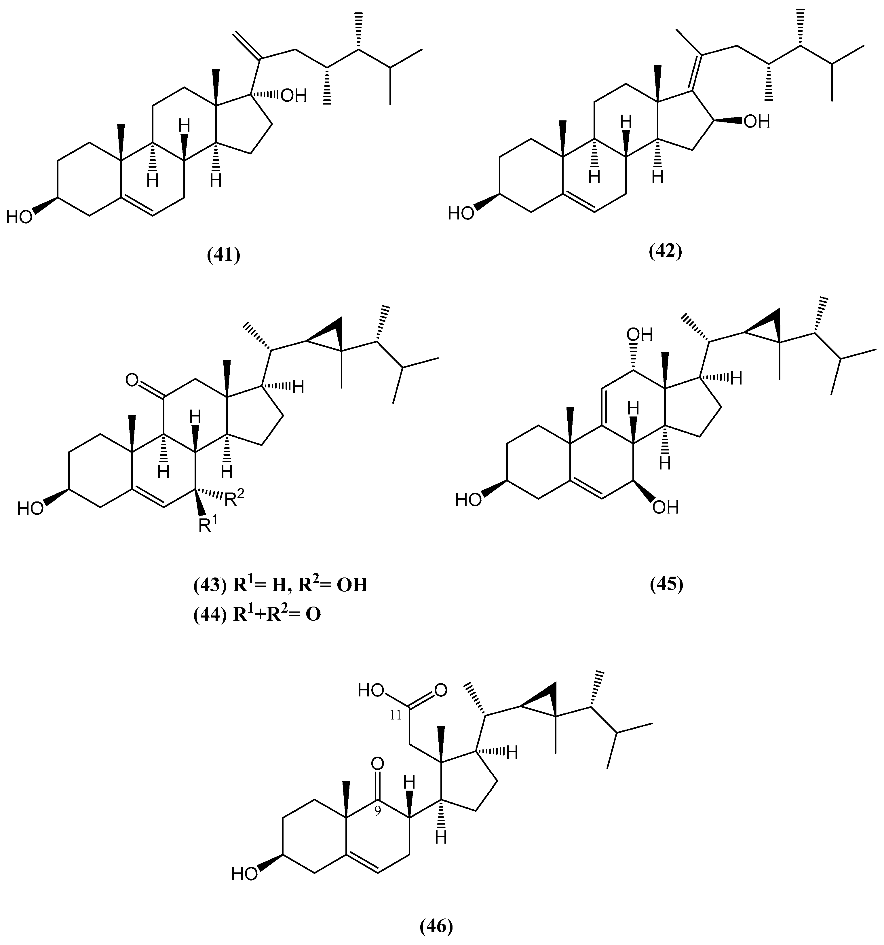 Ijms 26 03203 g016 Ijms 26 03203 g016
