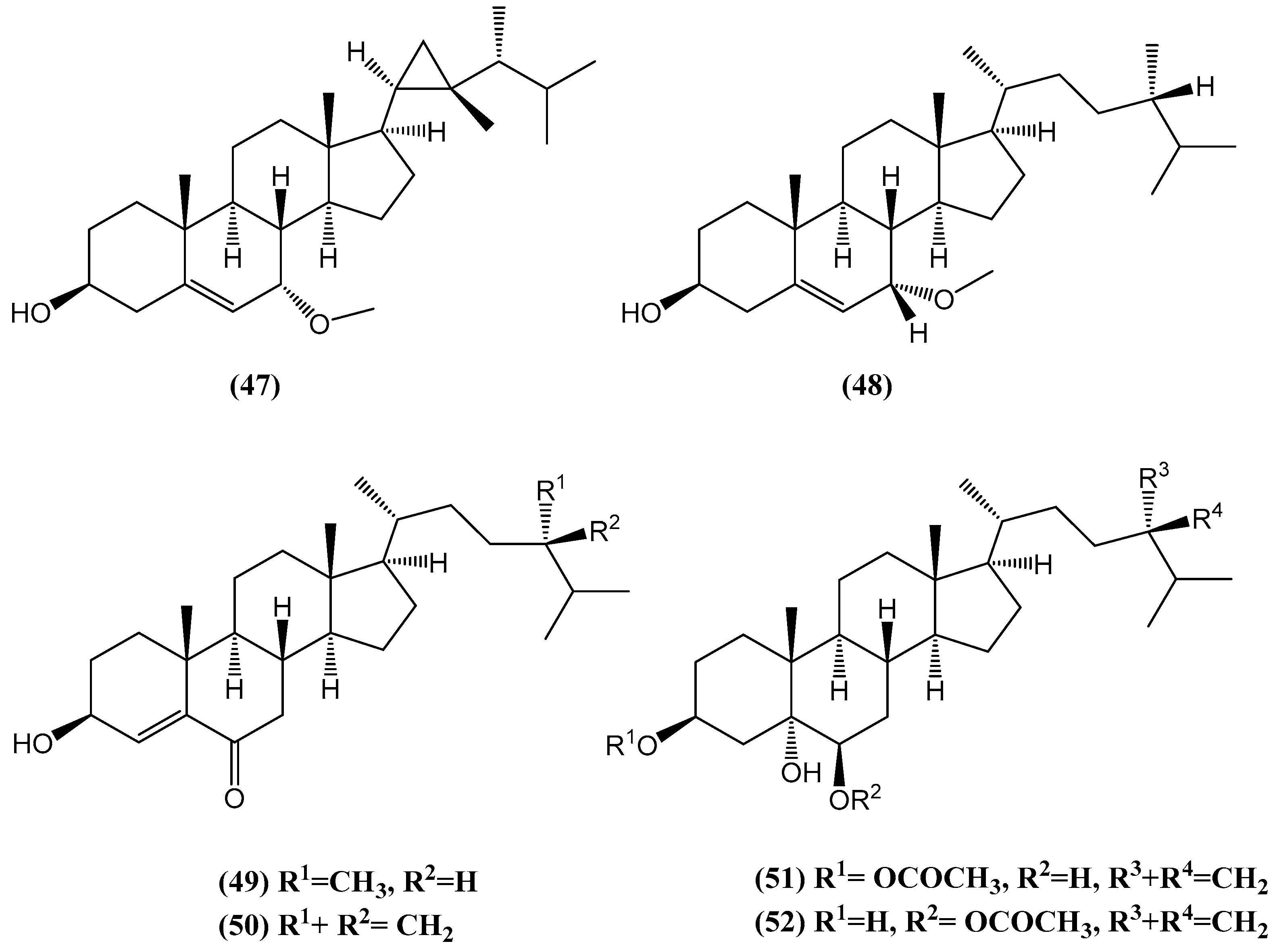 Ijms 26 03203 g017 Ijms 26 03203 g017