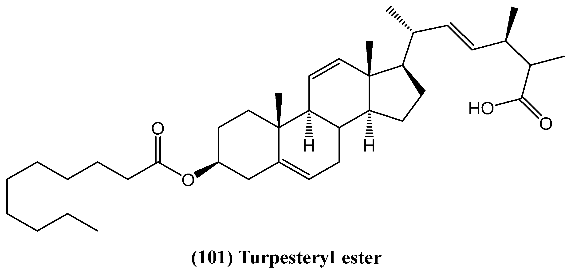 Ijms 26 03203 g033 Ijms 26 03203 g033