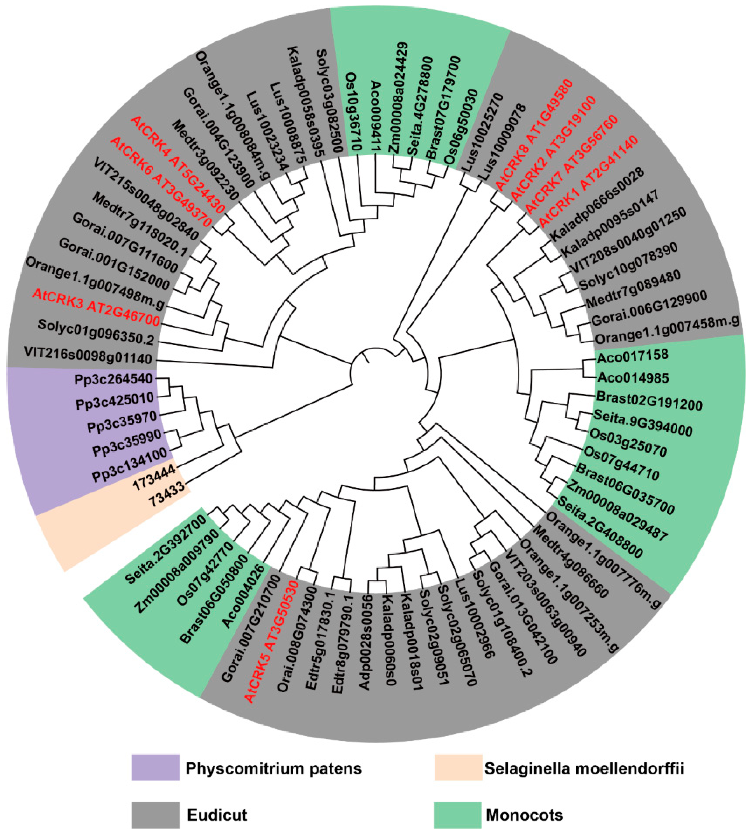 Genome Wide Investigation Of CPK Related Kinase CRK Gene Family In Genome Wide Investigation Of CPK Related Kinase CRK Gene Family In