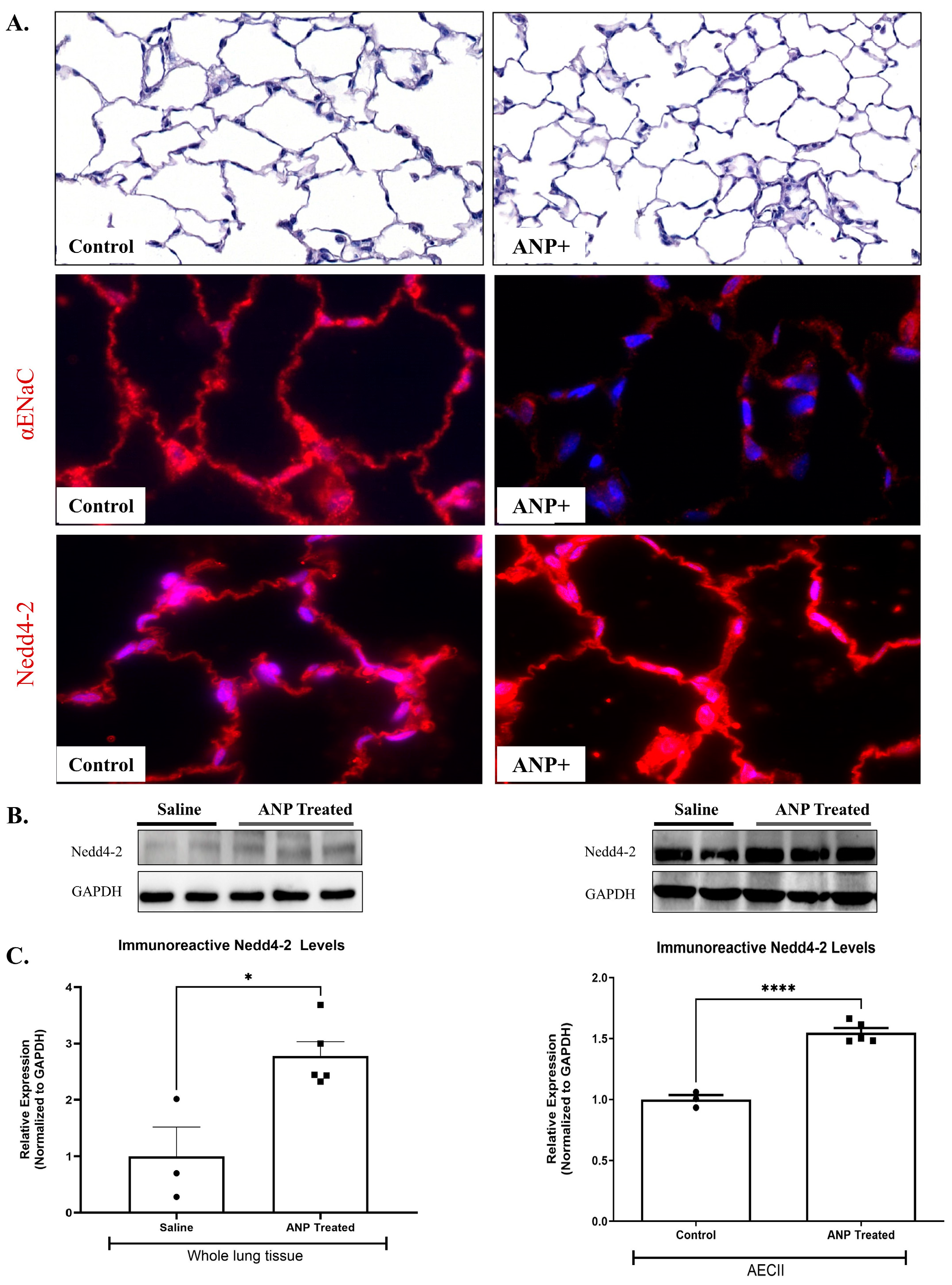 Ijms 26 03374 g003 Ijms 26 03374 g003