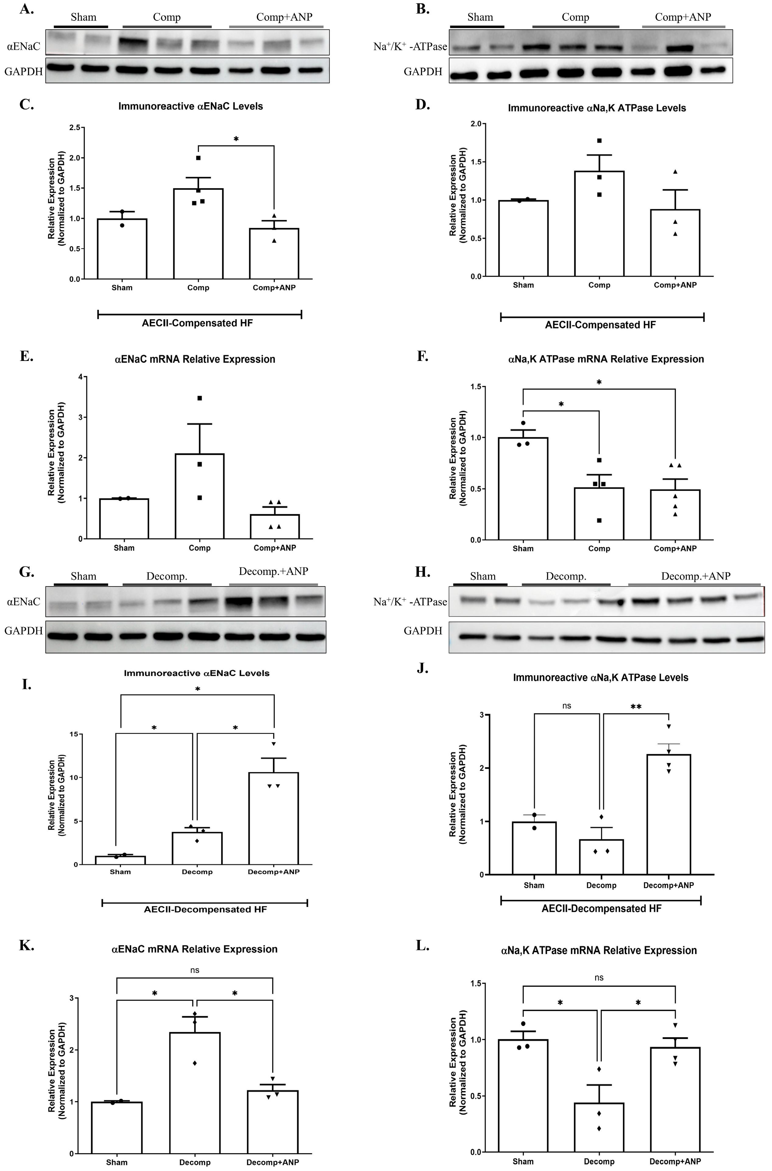 Ijms 26 03374 g007 Ijms 26 03374 g007