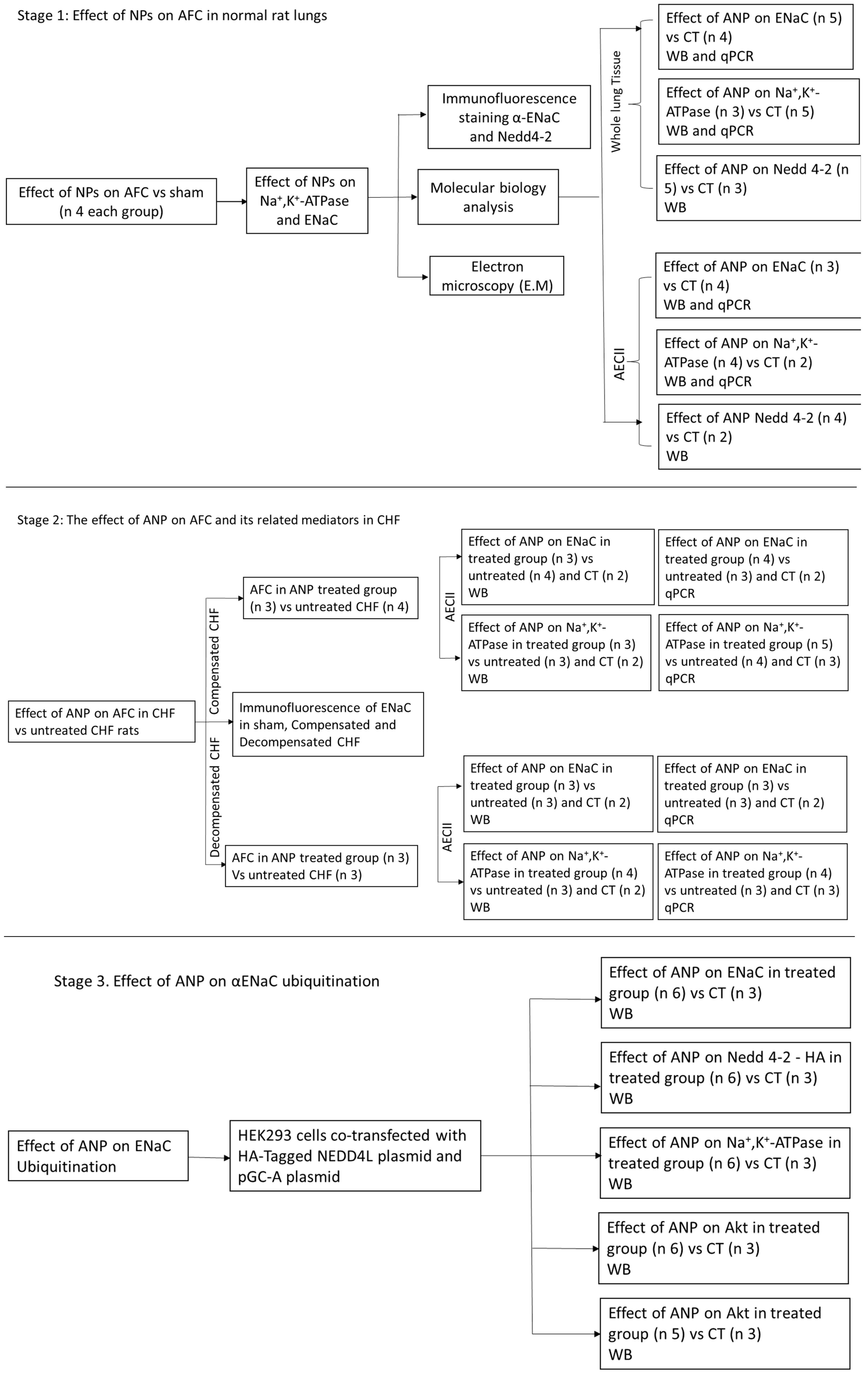 Ijms 26 03374 g010 Ijms 26 03374 g010