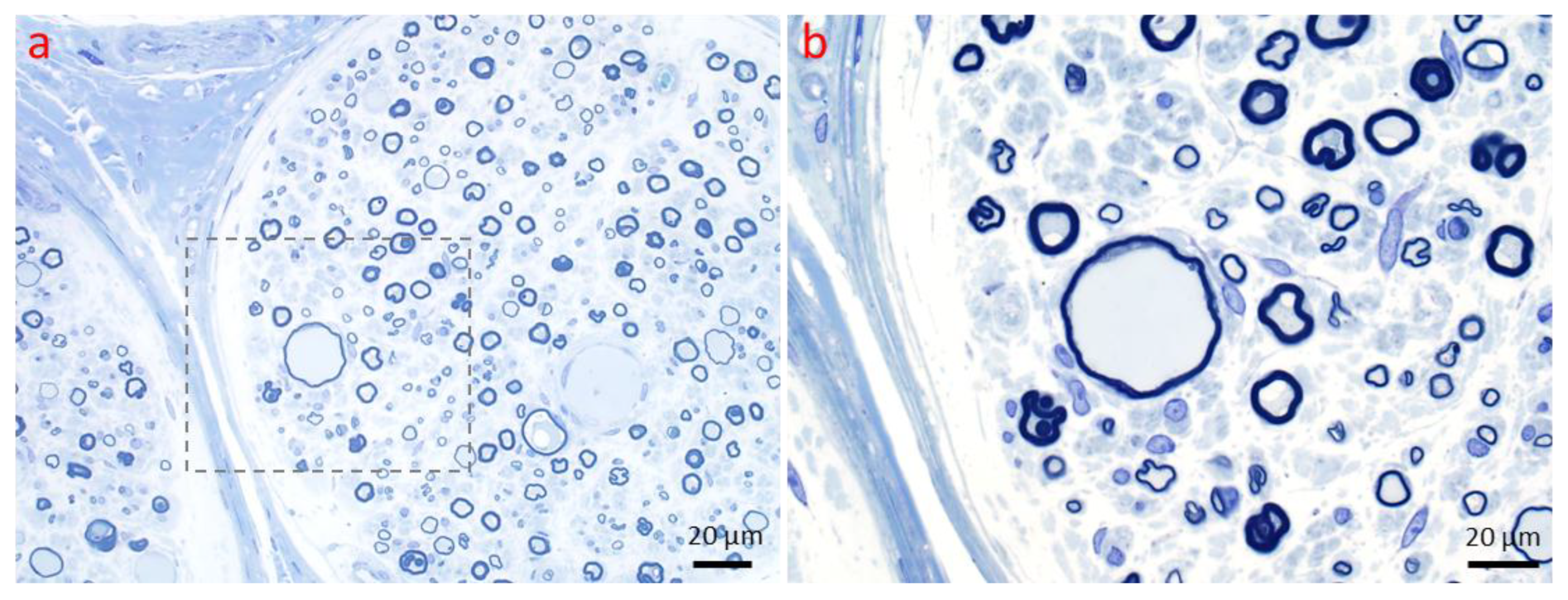 Ijms 26 03377 g009
