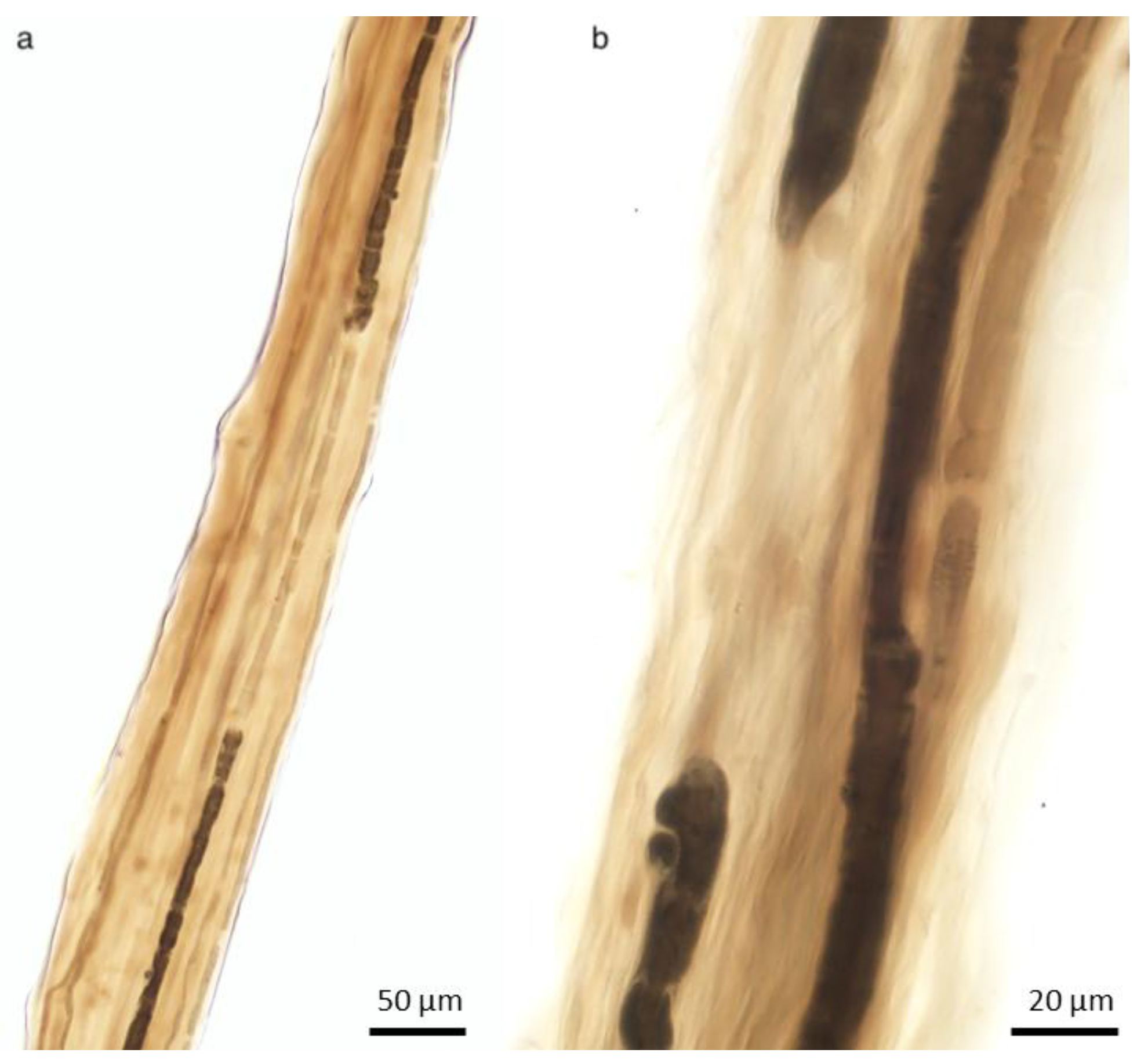 Ijms 26 03377 g010