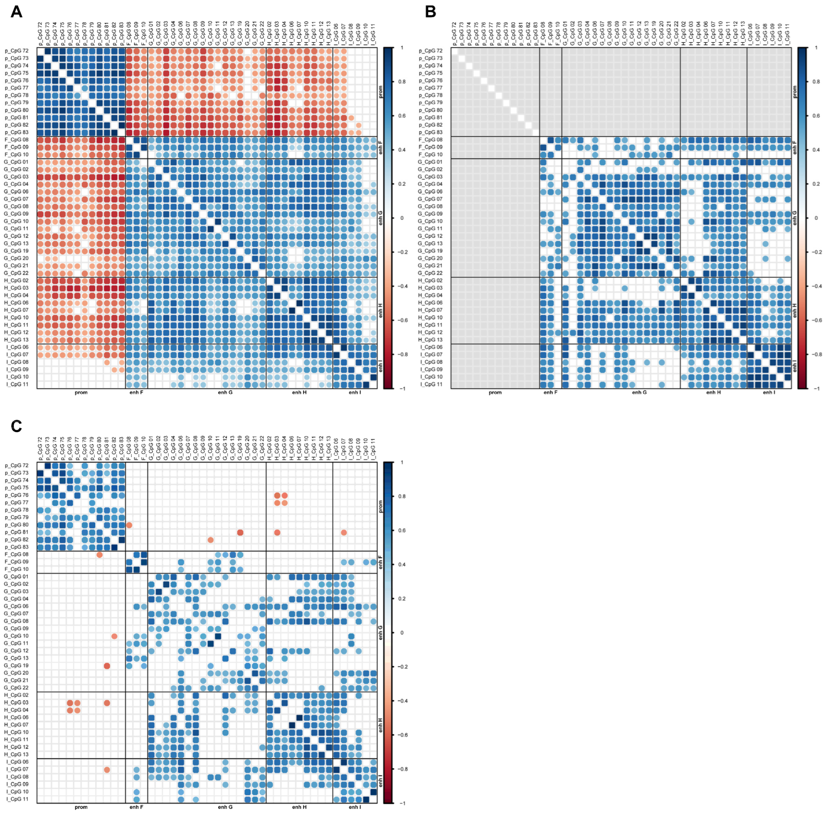 Ijms 26 03390 g004 Ijms 26 03390 g004
