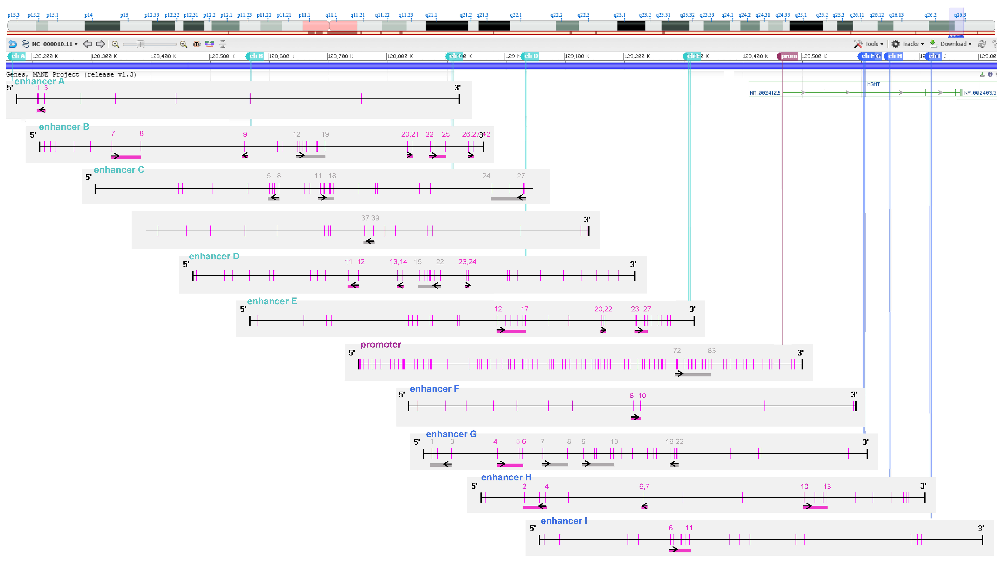 Ijms 26 03390 g009 Ijms 26 03390 g009