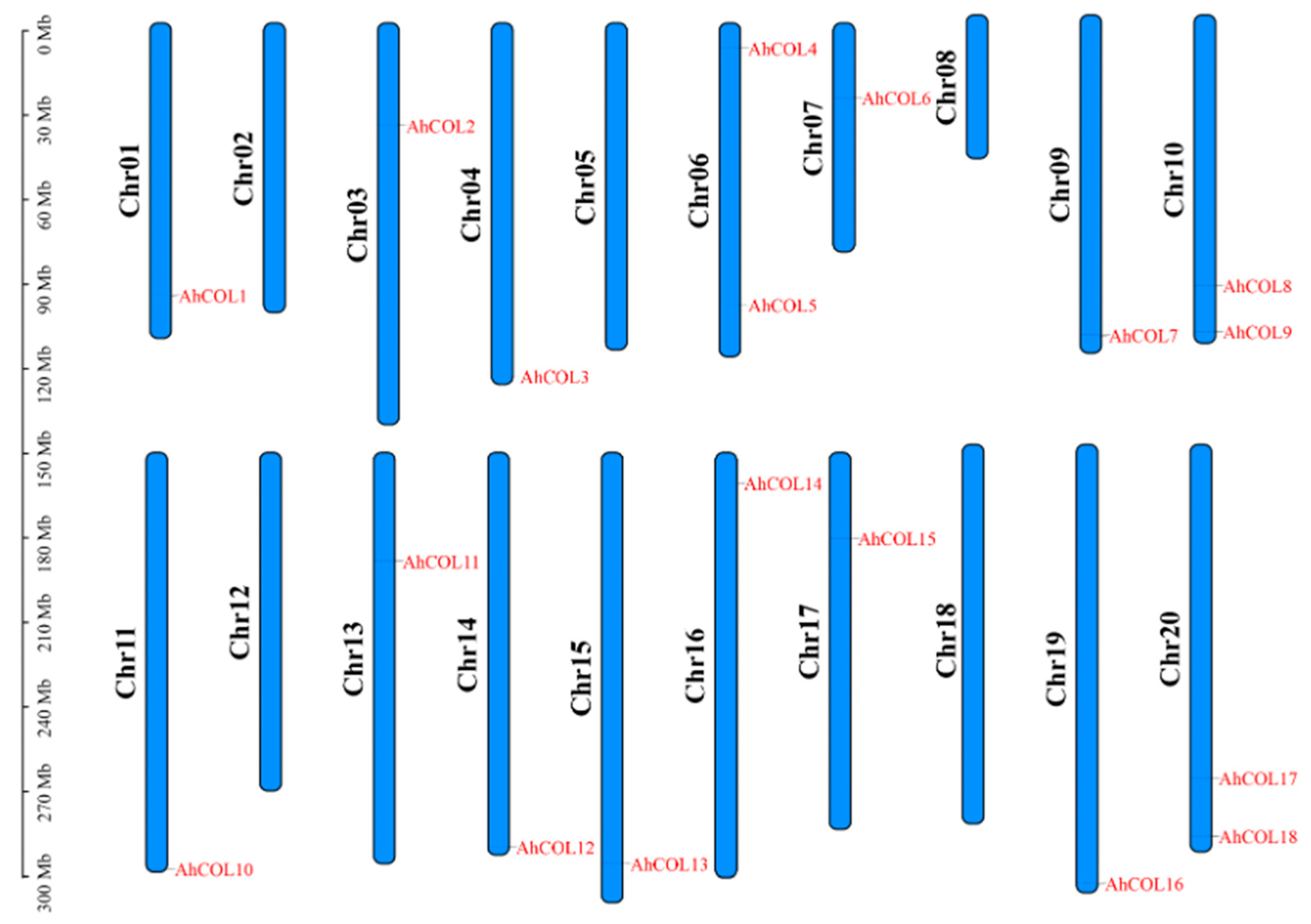 Ijms 26 03404 g001