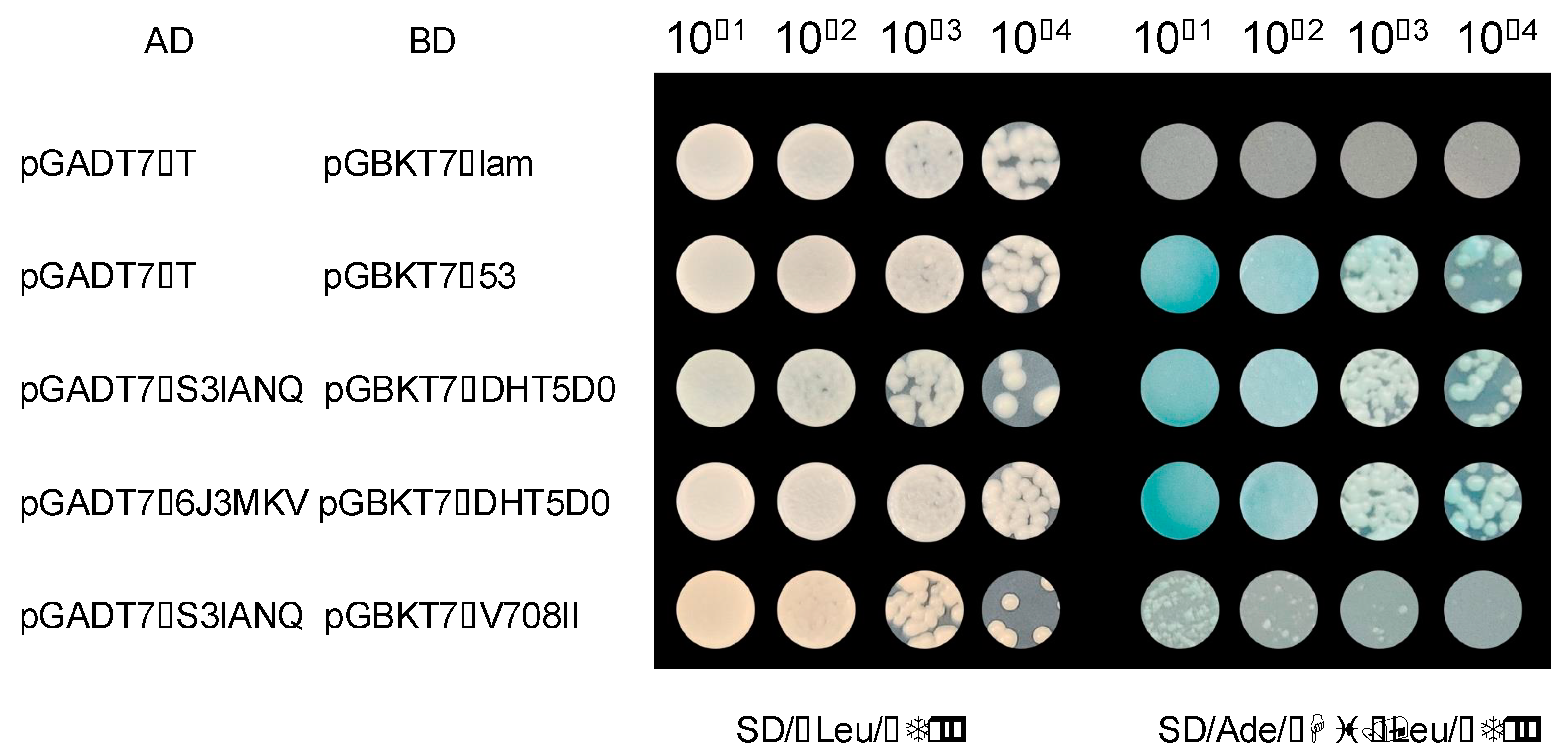 Ijms 26 03404 g009