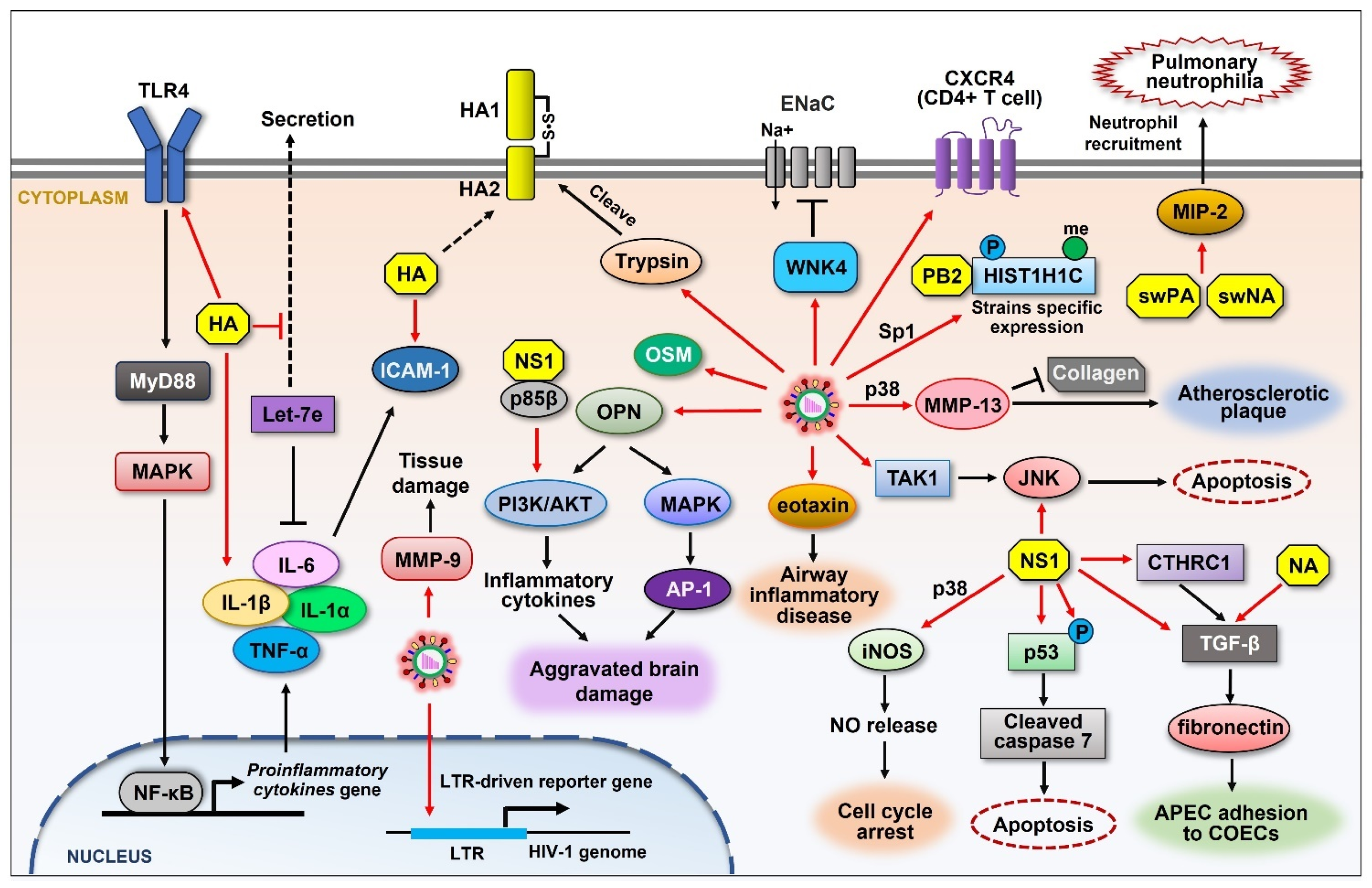 Ijms 26 03584 g004 Ijms 26 03584 g004