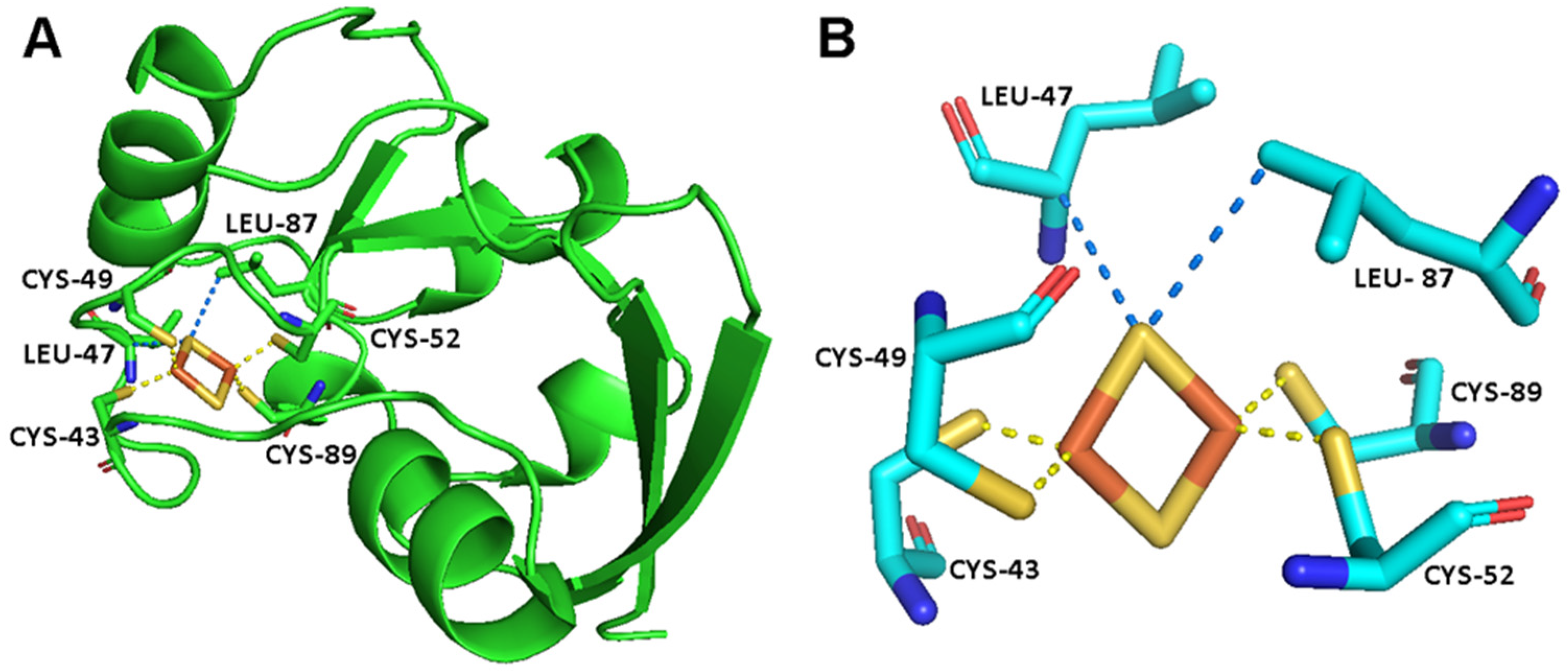 Ijms 26 03870 g001 Ijms 26 03870 g001