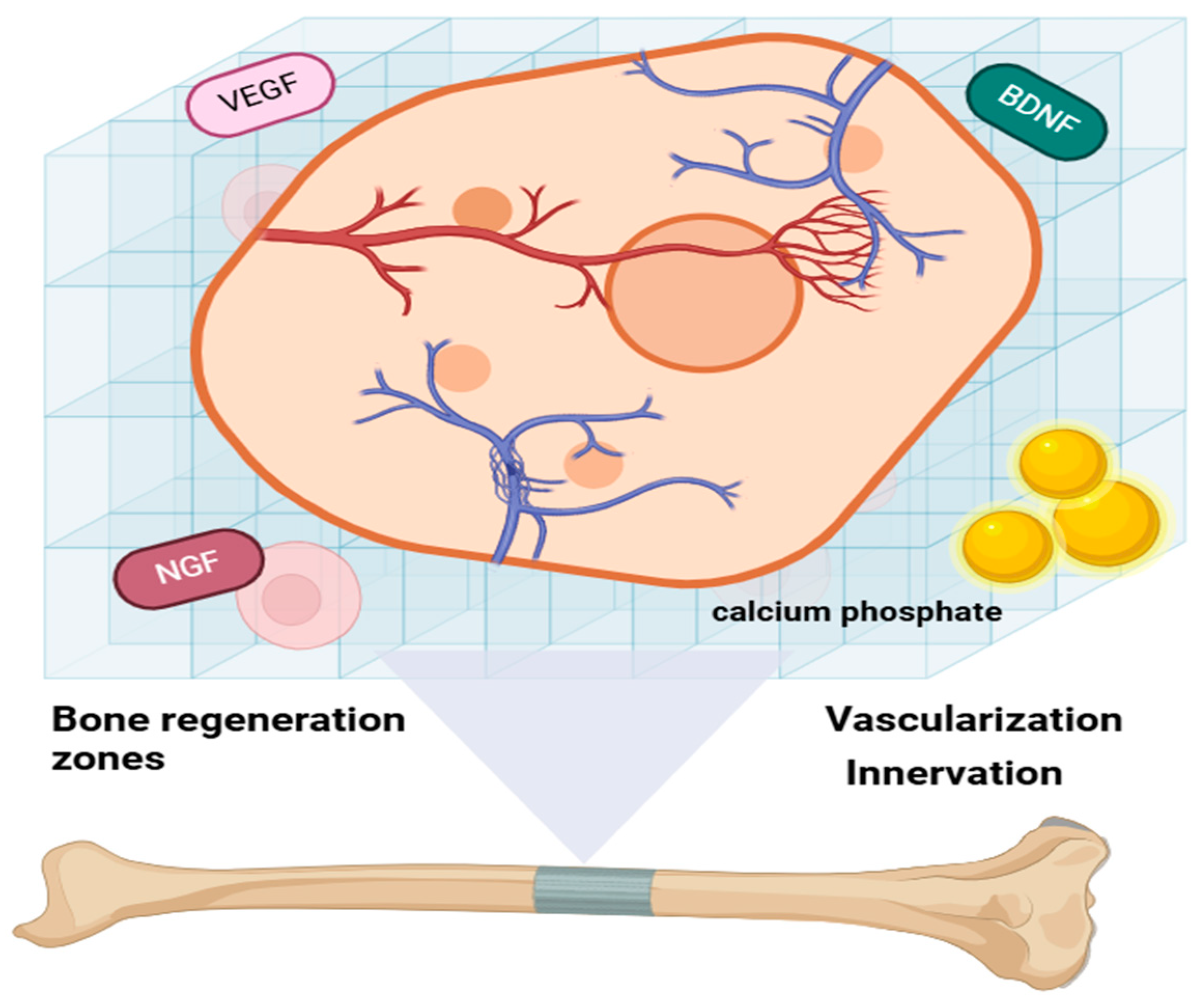 Ijms 26 03876 g003 Ijms 26 03876 g003