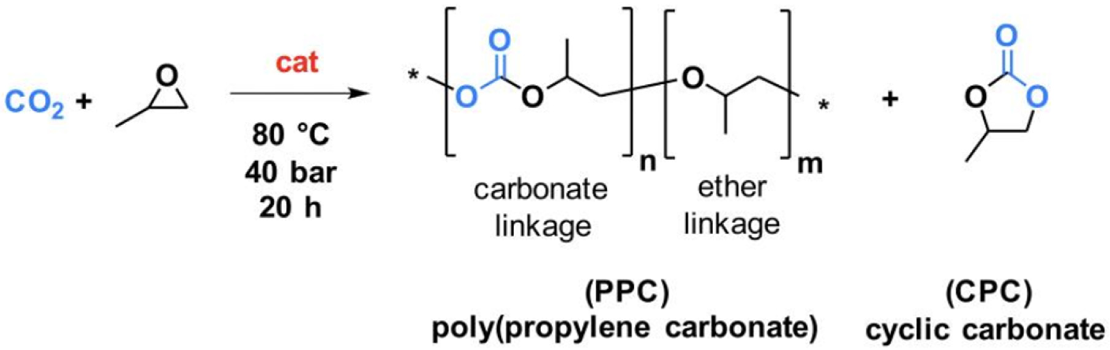 Ijms 26 03878 sch001