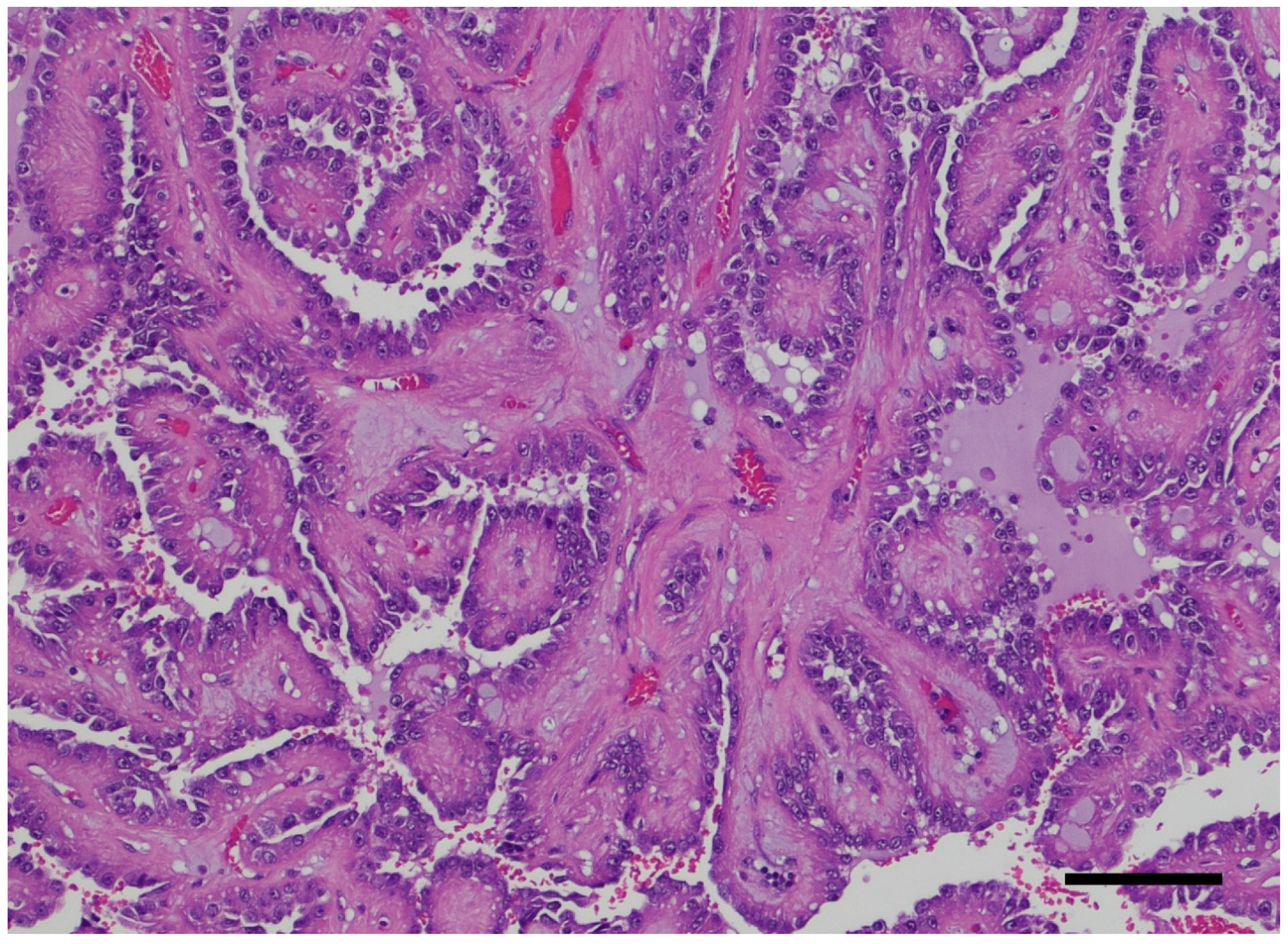 Ijms 26 03965 g004