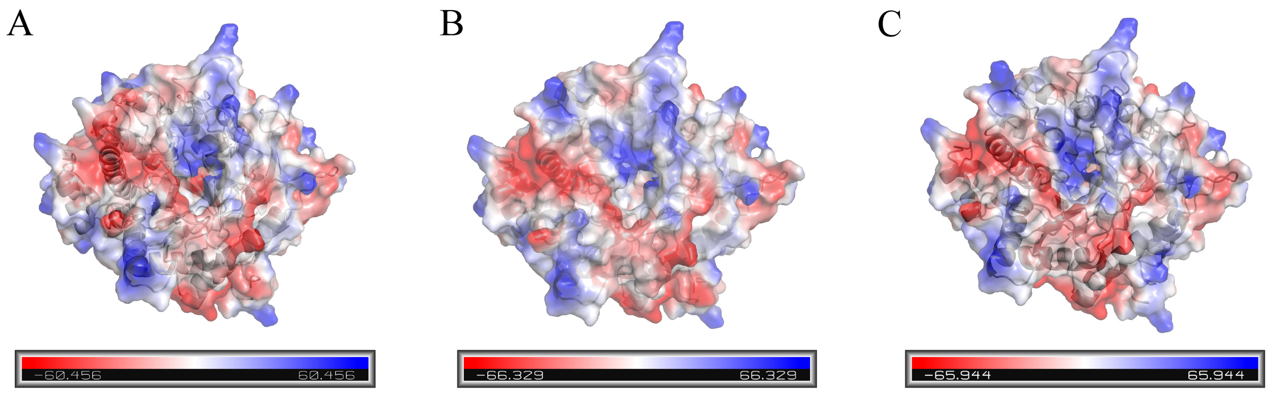 Ijms 26 03983 g006