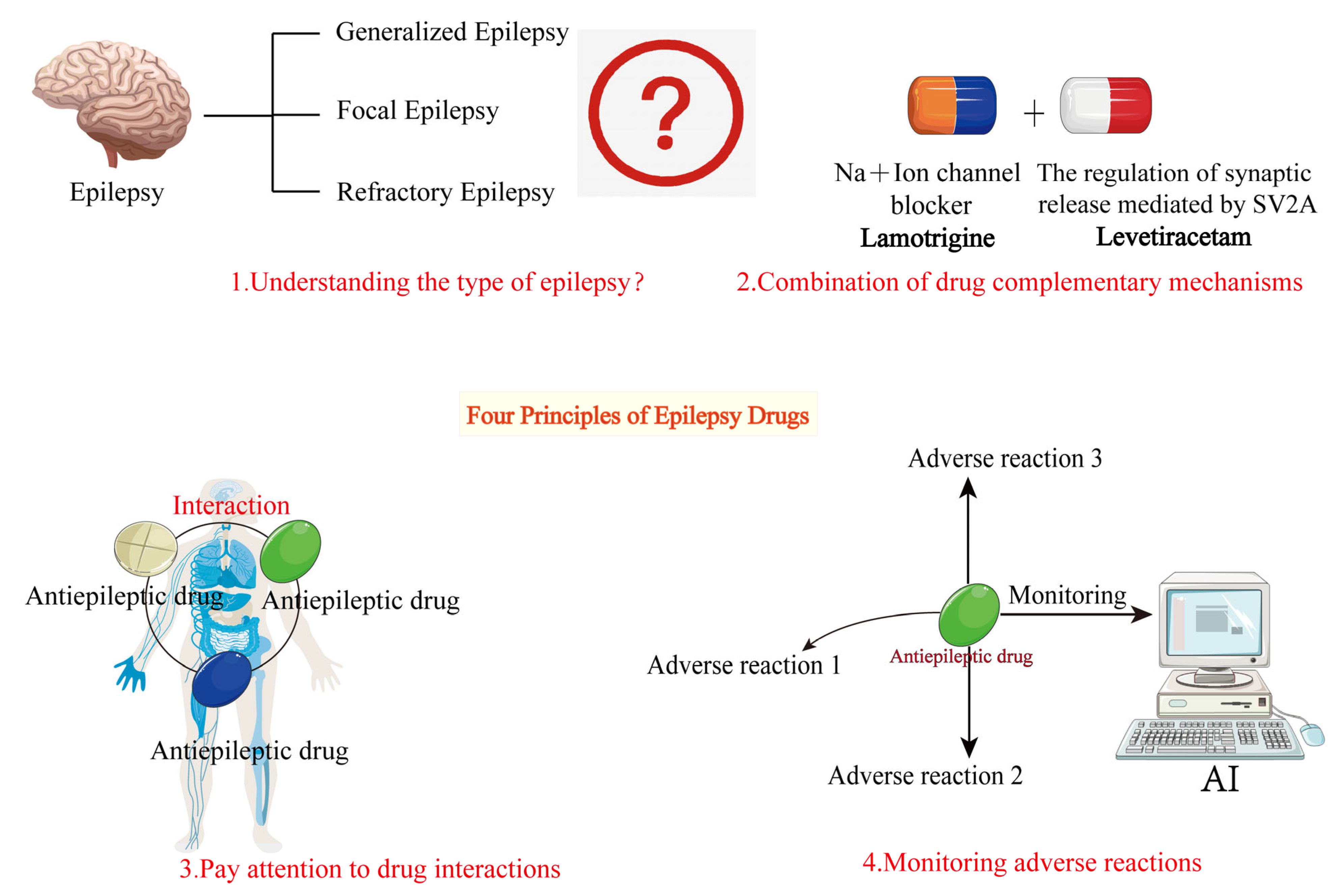 Ijms 26 04035 g004 Ijms 26 04035 g004