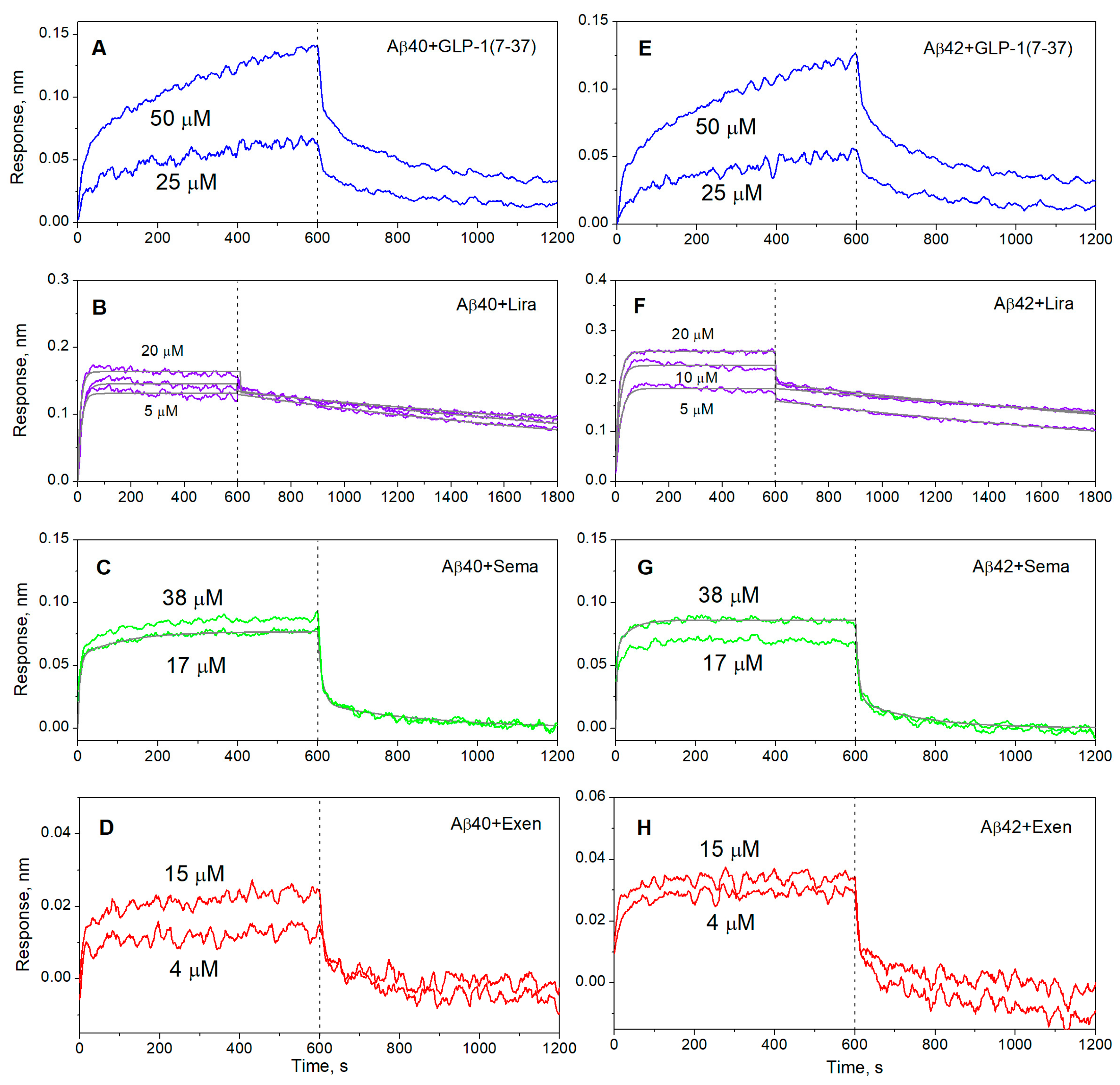 Ijms 26 04095 g002 Ijms 26 04095 g002