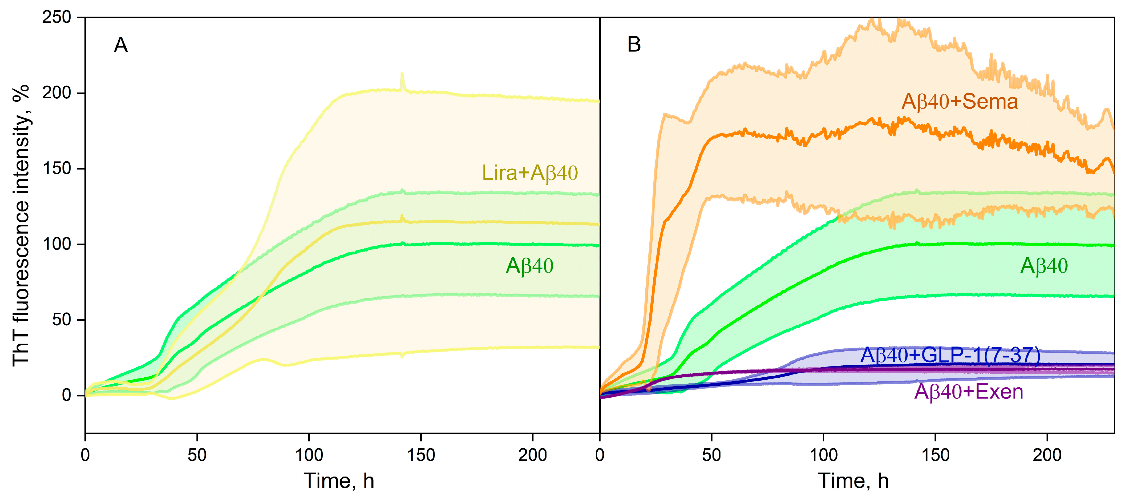 Ijms 26 04095 g004 Ijms 26 04095 g004