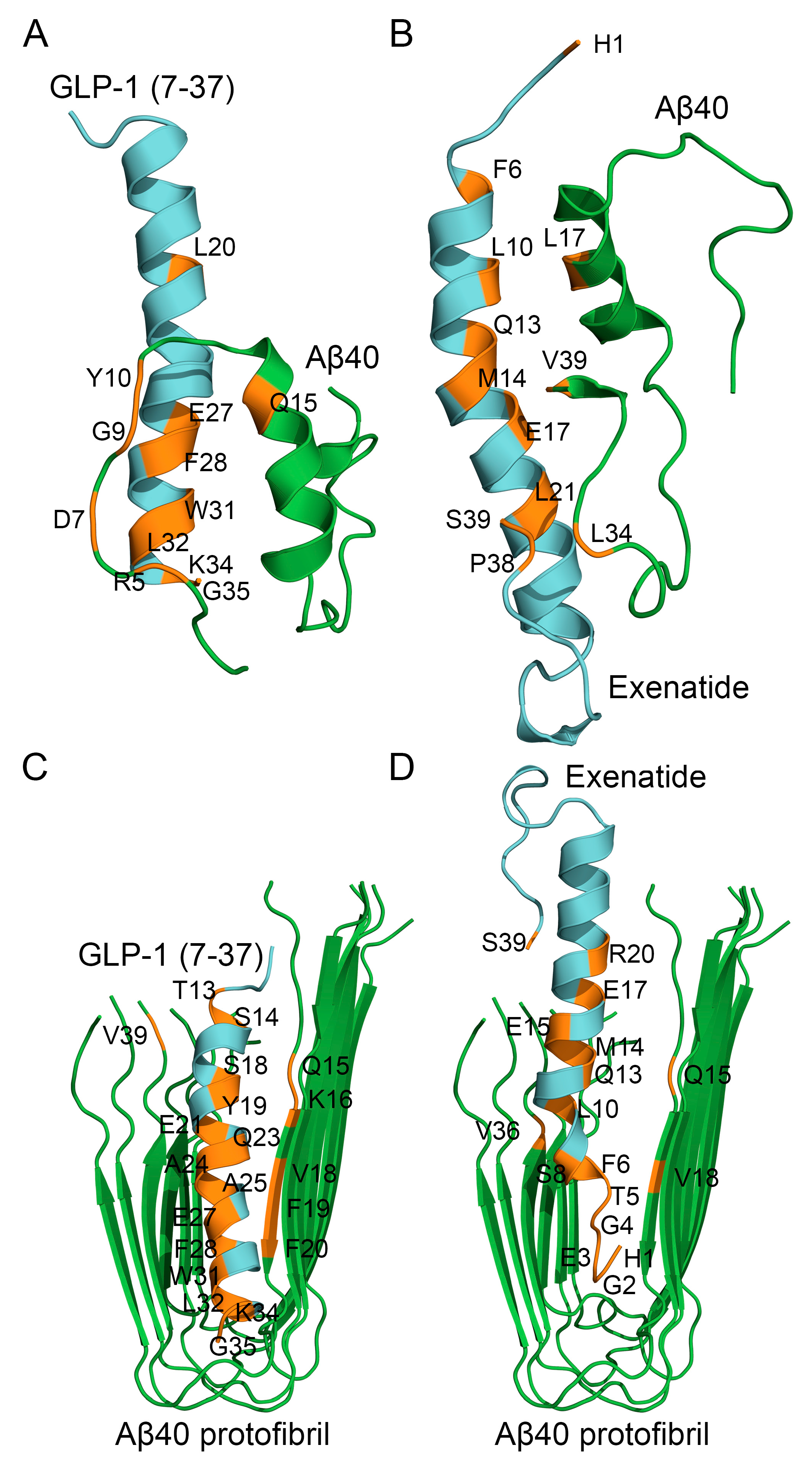 Ijms 26 04095 g006 Ijms 26 04095 g006