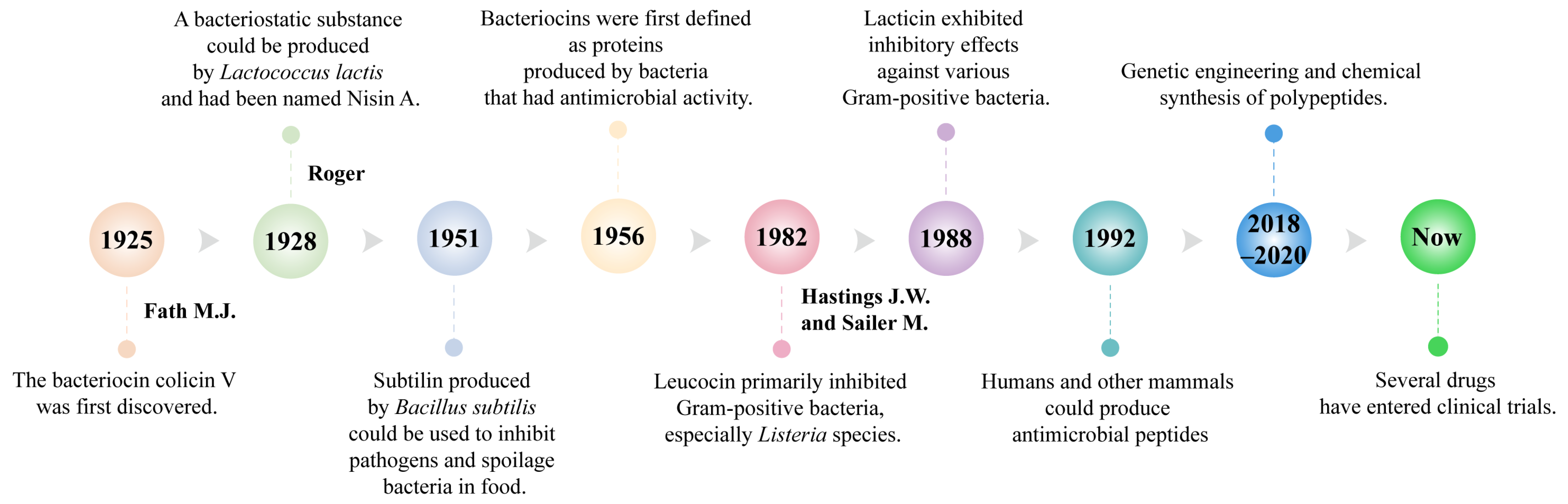 Ijms 26 04124 g001 Ijms 26 04124 g001