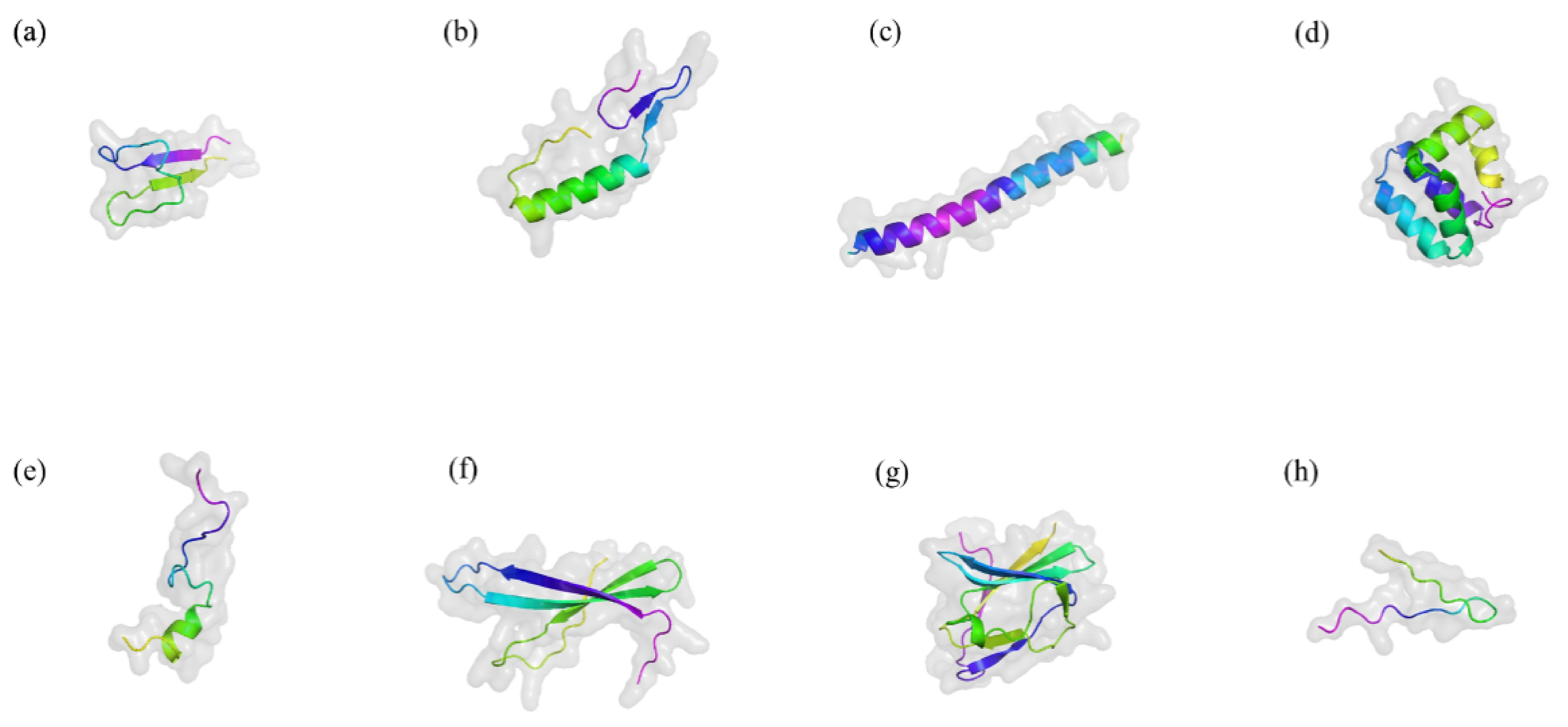 Ijms 26 04124 g002 Ijms 26 04124 g002