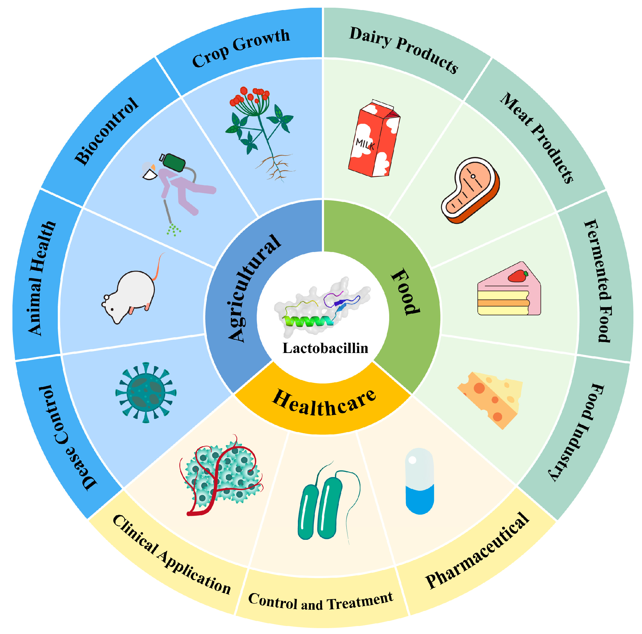 Ijms 26 04124 g004 Ijms 26 04124 g004