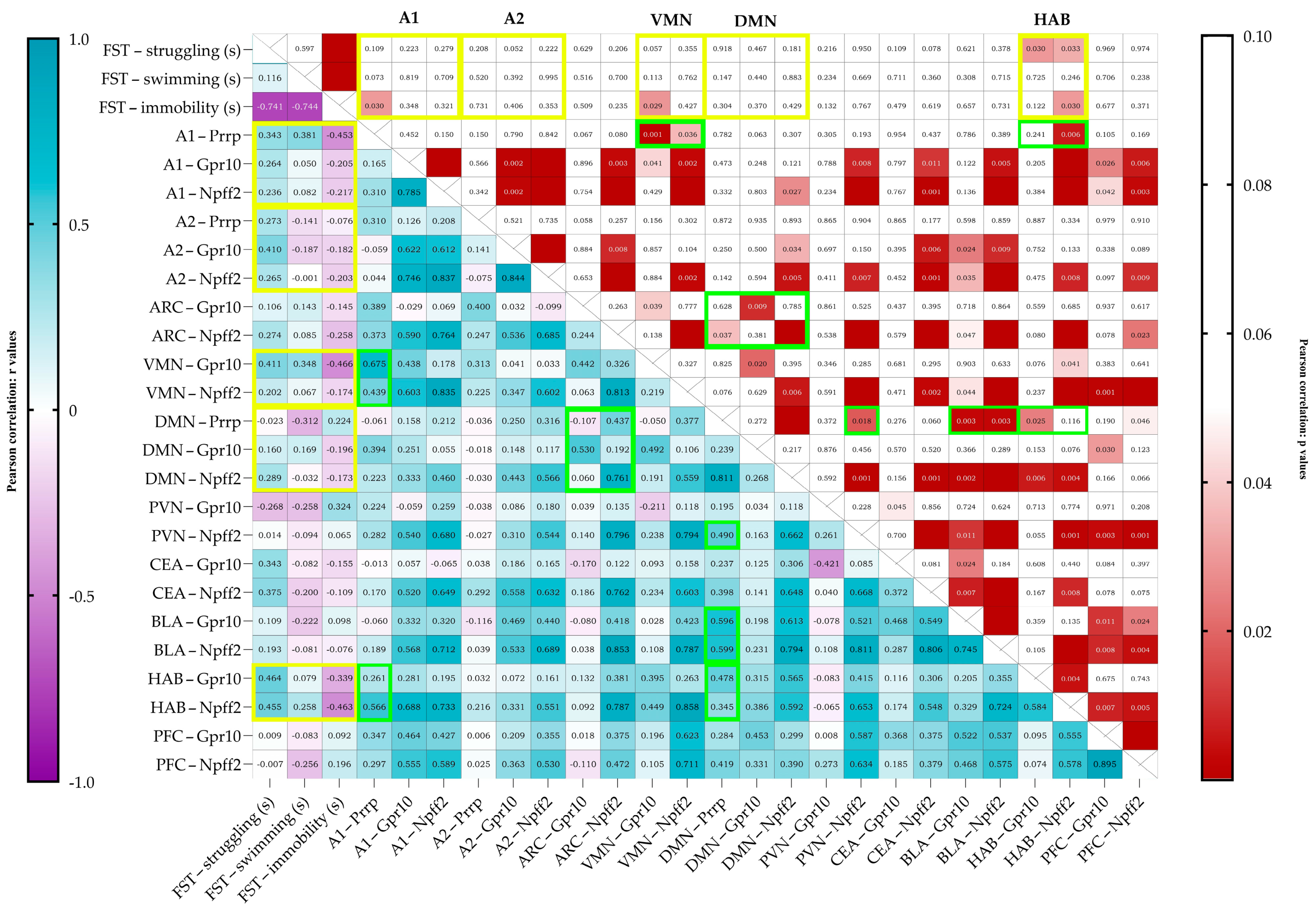 Ijms 26 04155 g004 Ijms 26 04155 g004