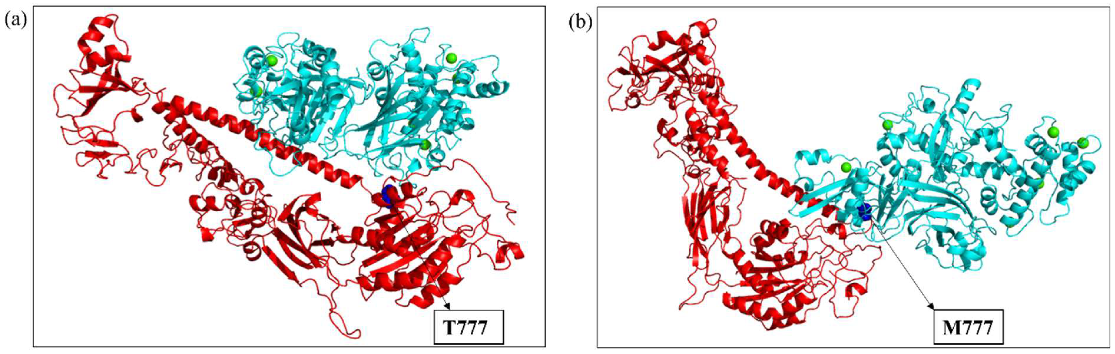 Ijms 26 04246 g005
