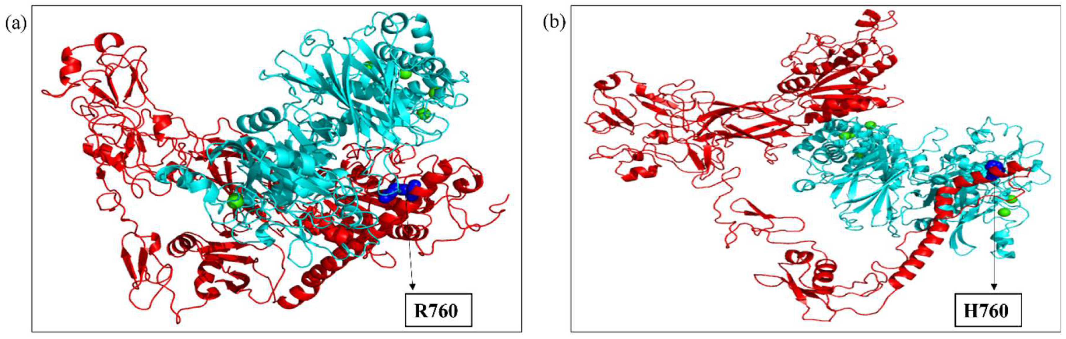 Ijms 26 04246 g006