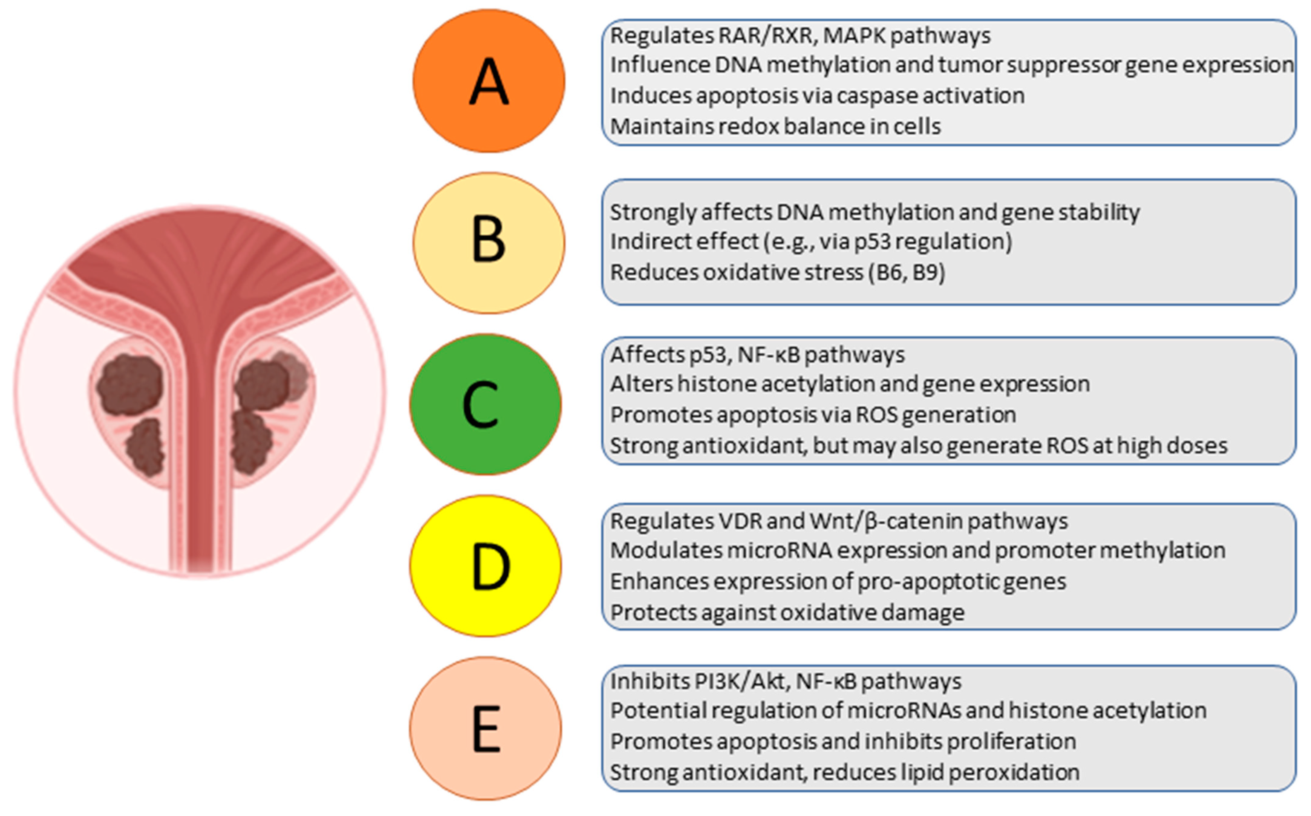 Ijms 26 04336 g002 Ijms 26 04336 g002
