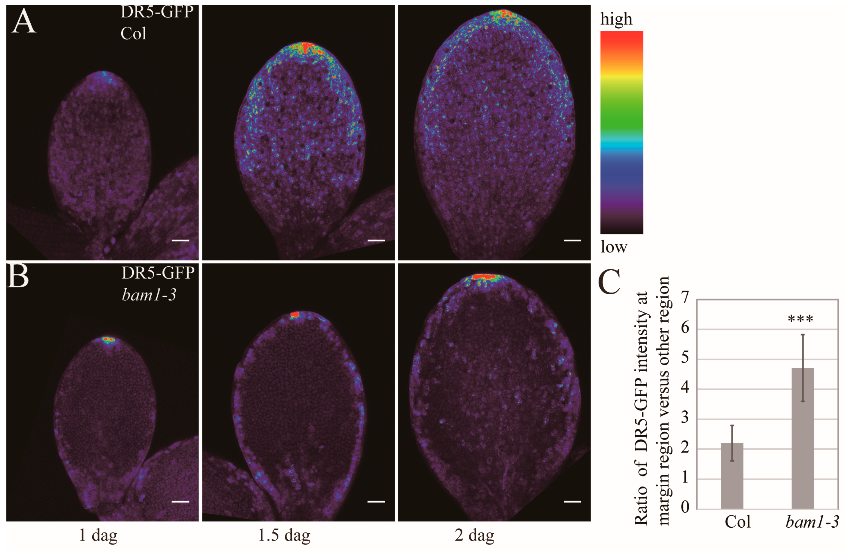 Ijms 26 04724 g003