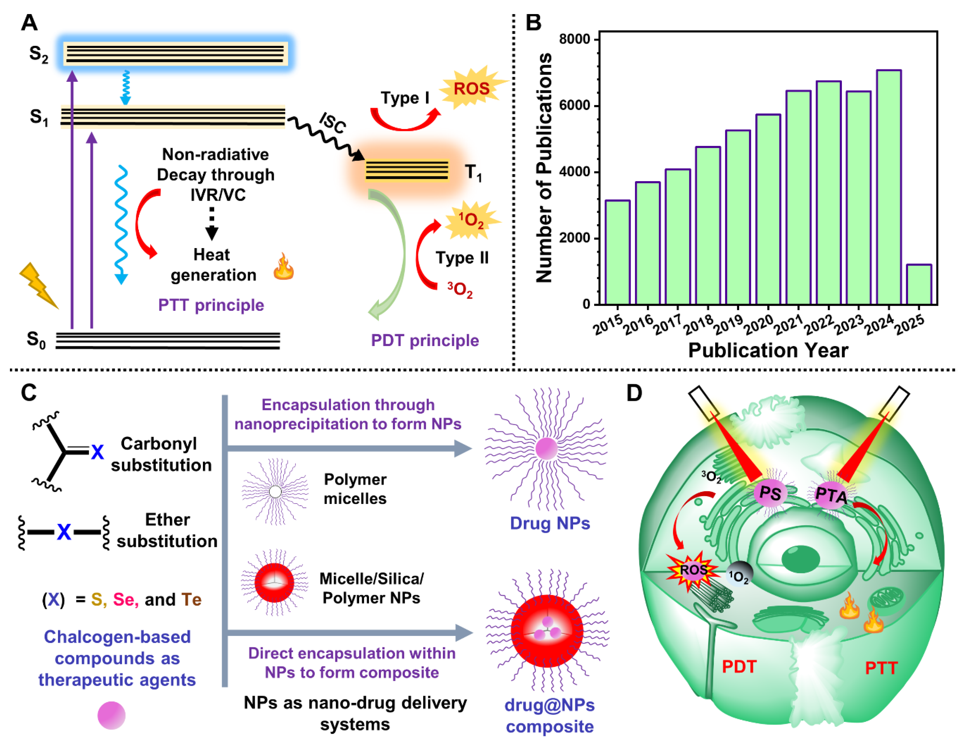 Ijms 26 04819 sch001