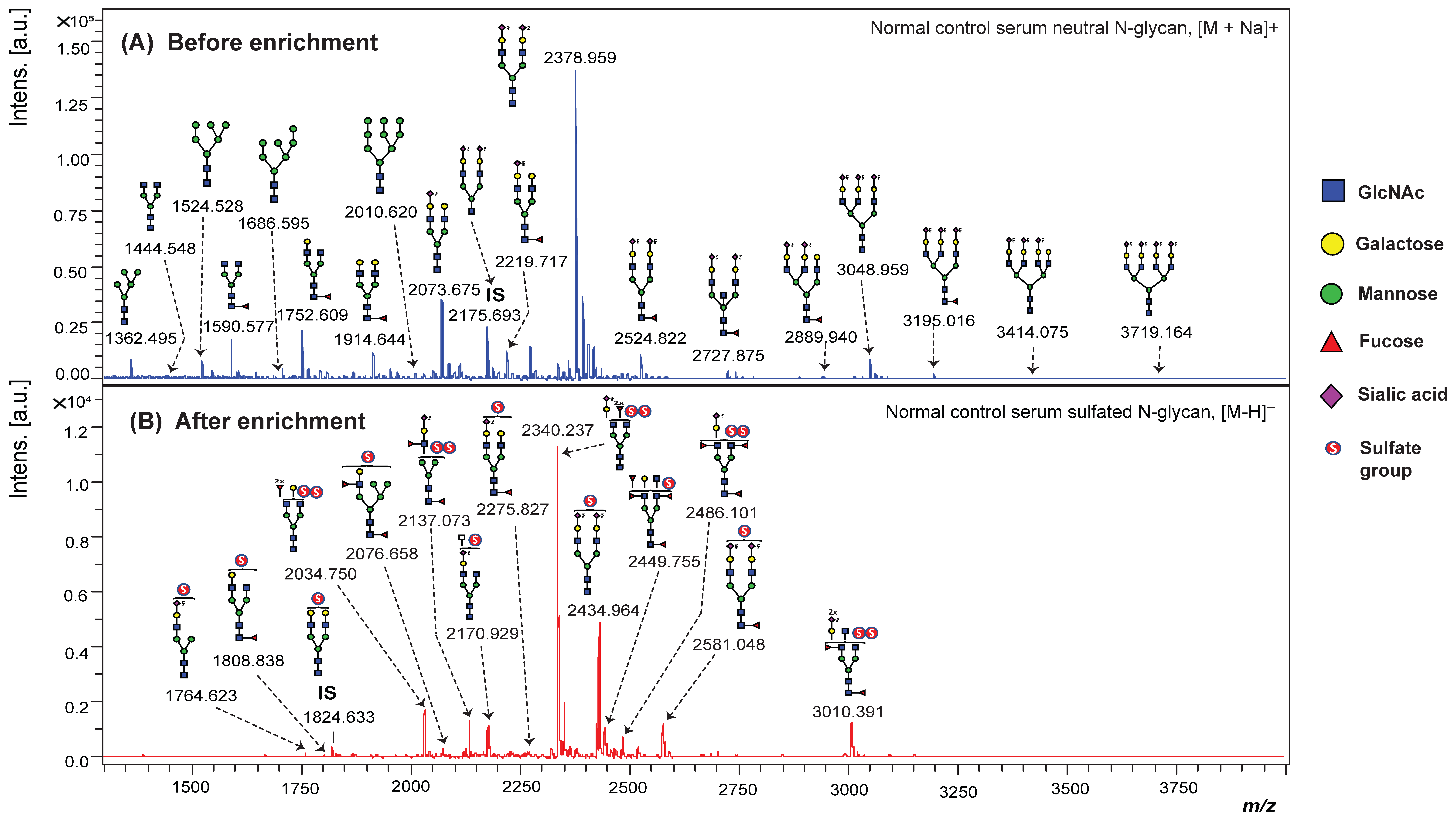 Ijms 26 04968 g001 Ijms 26 04968 g001