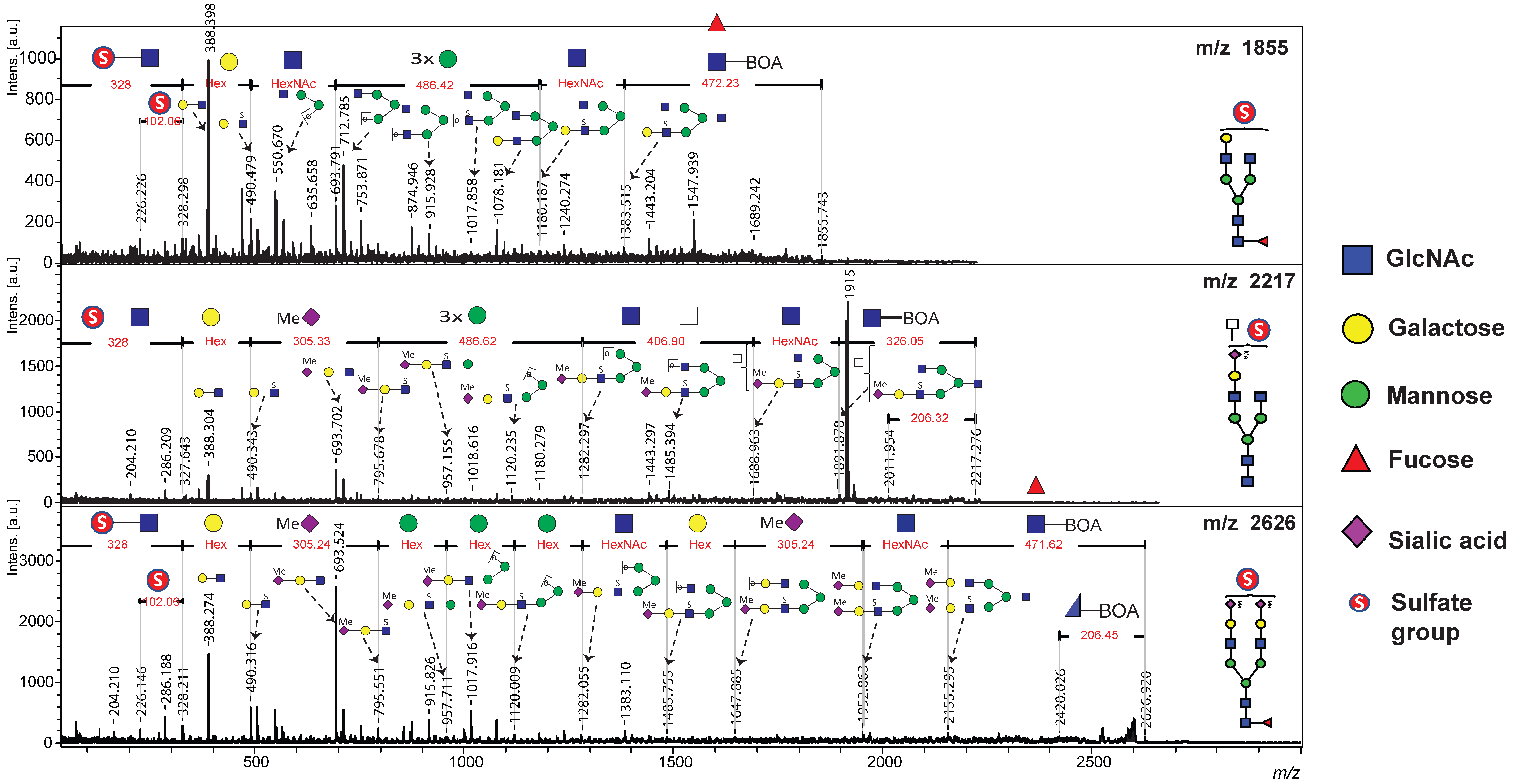 Ijms 26 04968 g002 Ijms 26 04968 g002