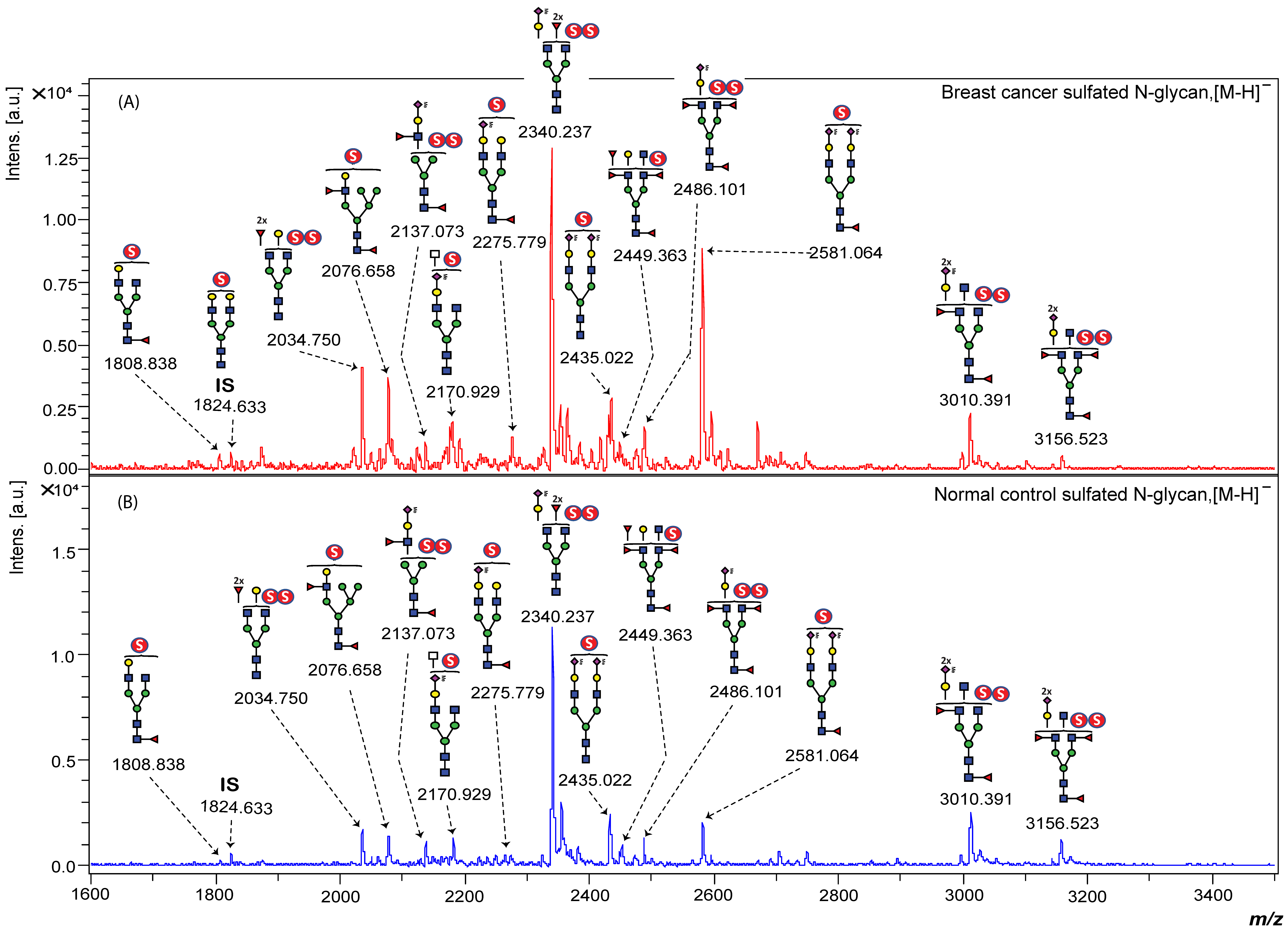 Ijms 26 04968 g003 Ijms 26 04968 g003
