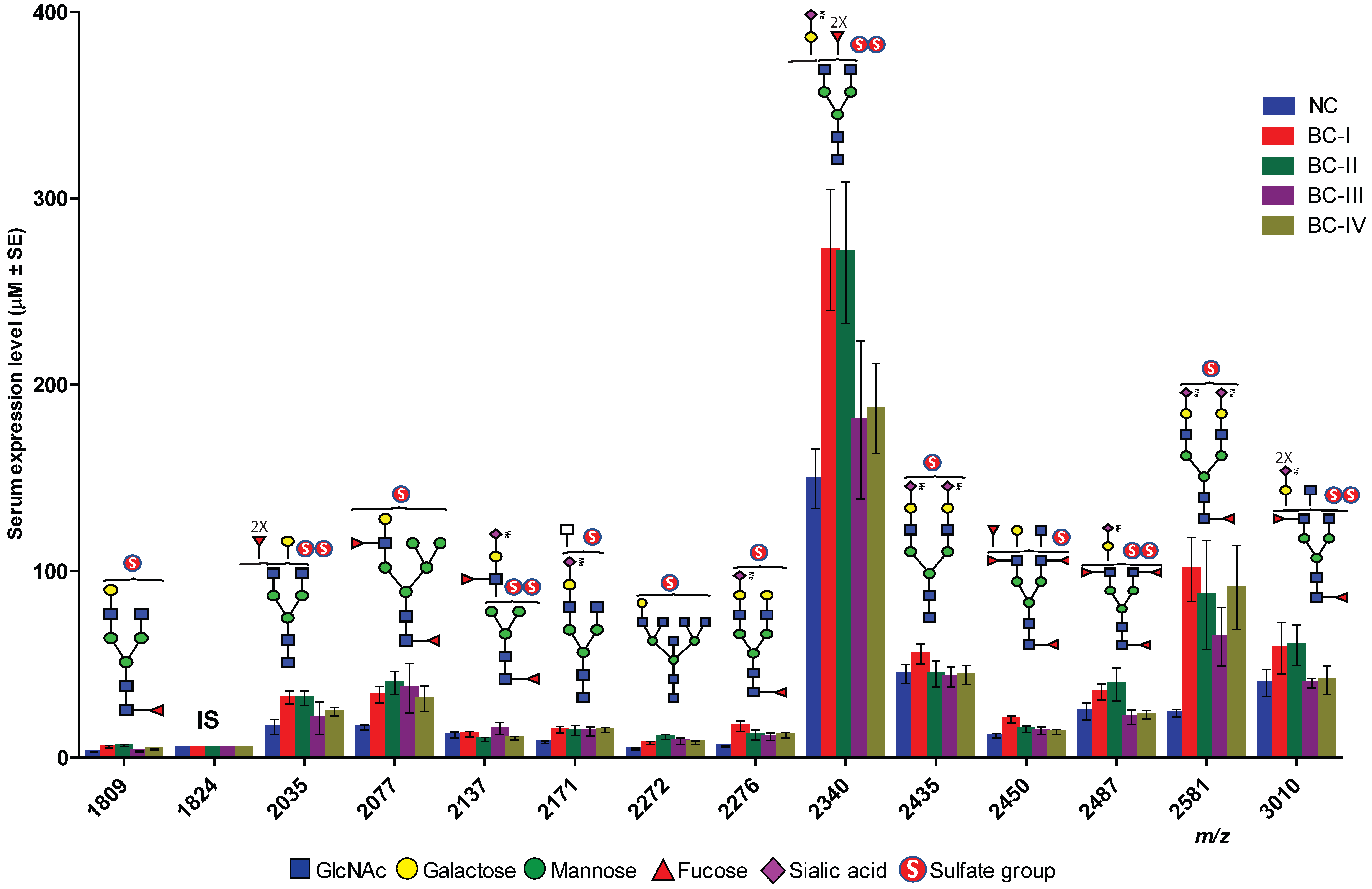 Ijms 26 04968 g004 Ijms 26 04968 g004