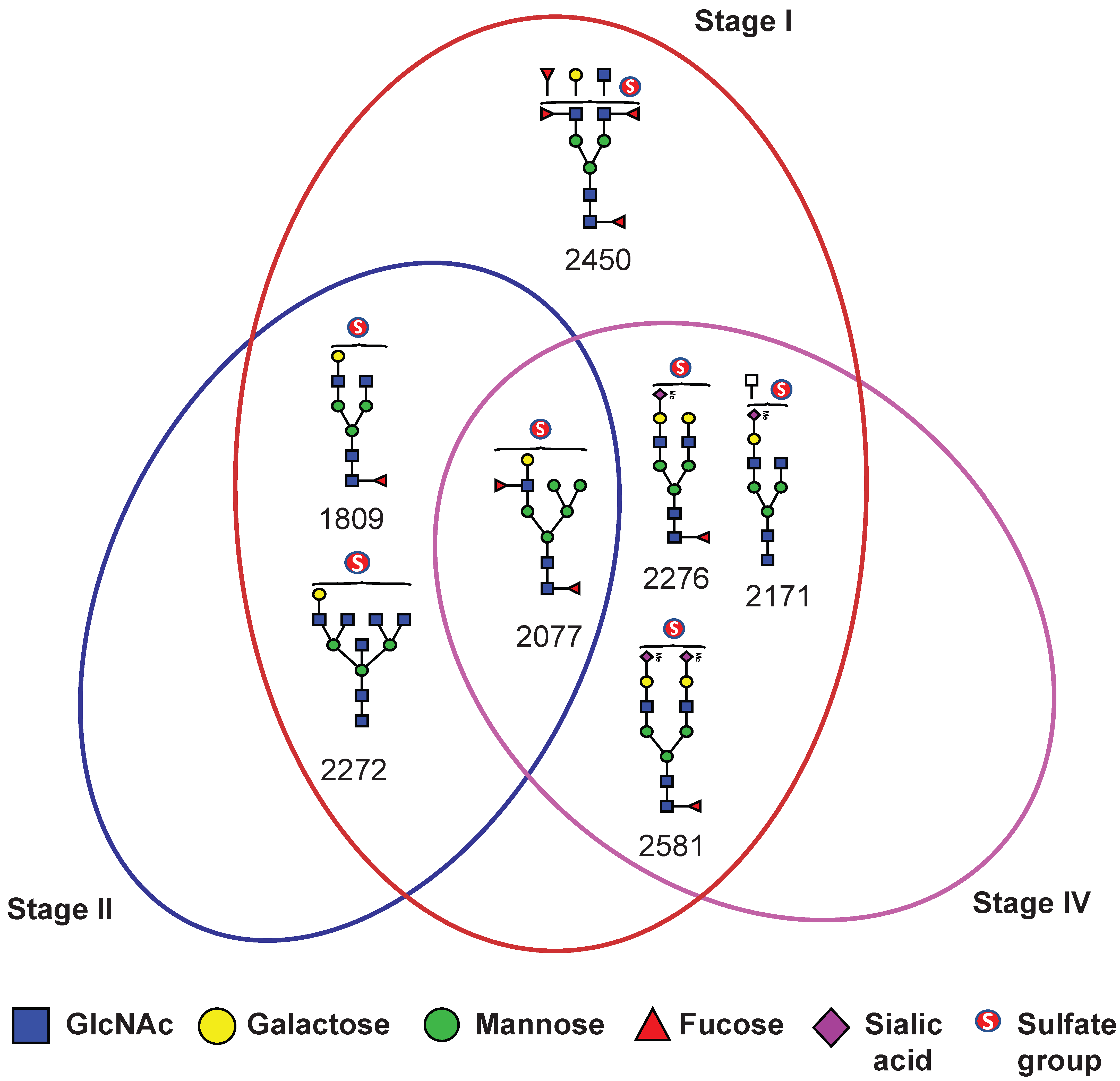 Ijms 26 04968 g005 Ijms 26 04968 g005