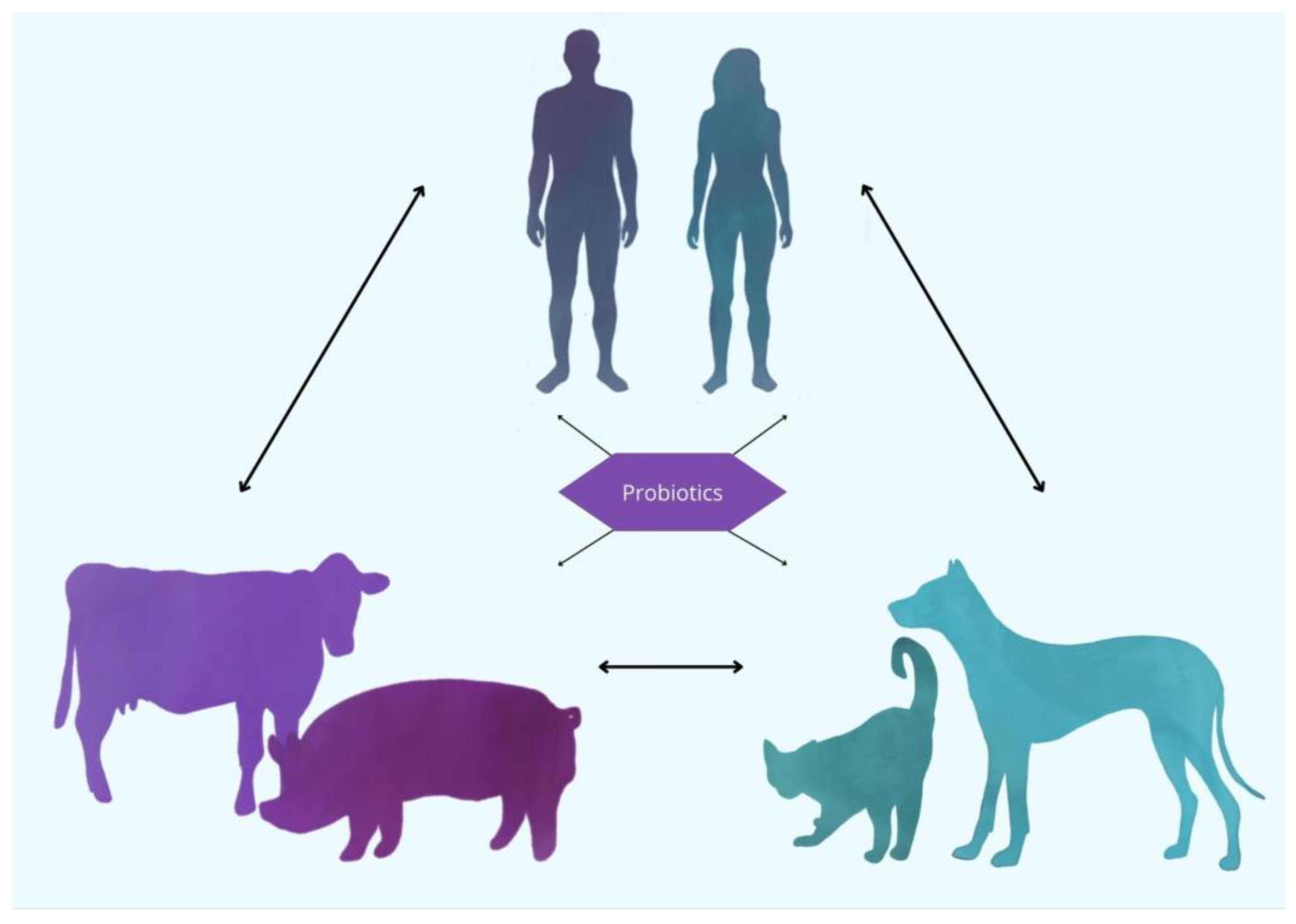 Ijms 26 05143 g001 Ijms 26 05143 g001