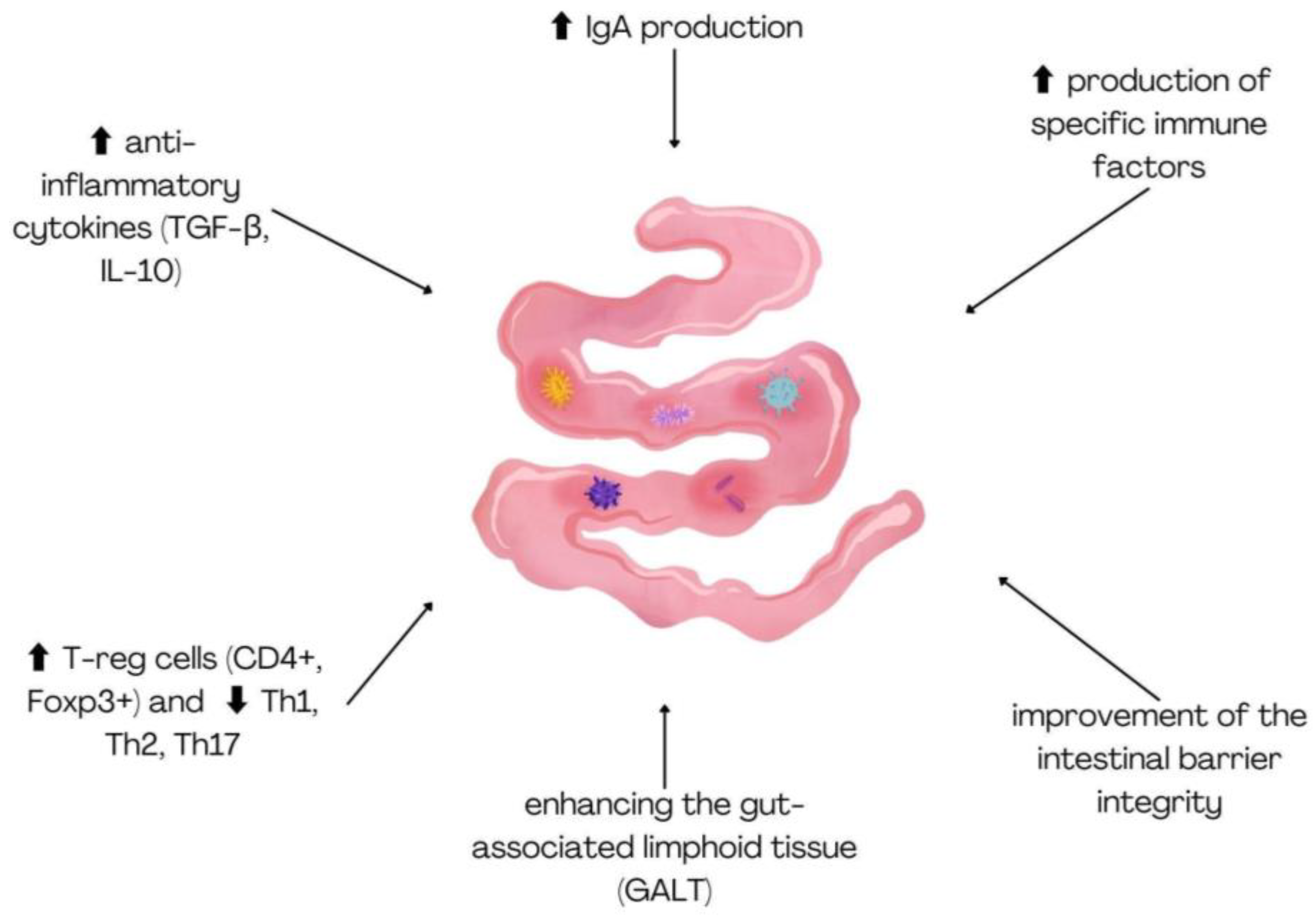 Ijms 26 05143 g002 Ijms 26 05143 g002
